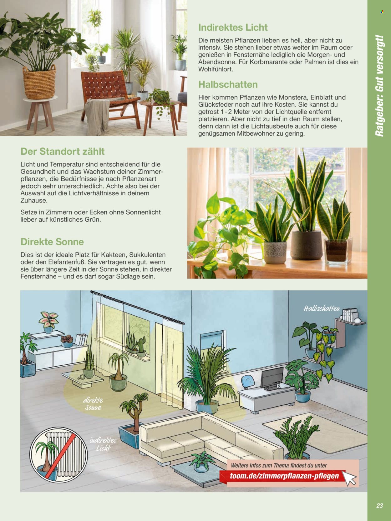 toom Baumarkt Prospekte  - 20.02.2024 - 31.05.2024. Seite 23