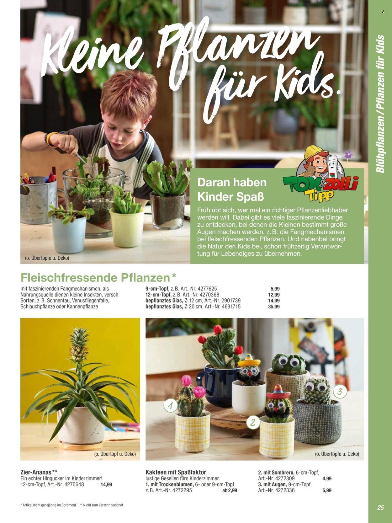 toom Baumarkt Prospekte  - 20.02.2024 - 31.05.2024. Seite 25