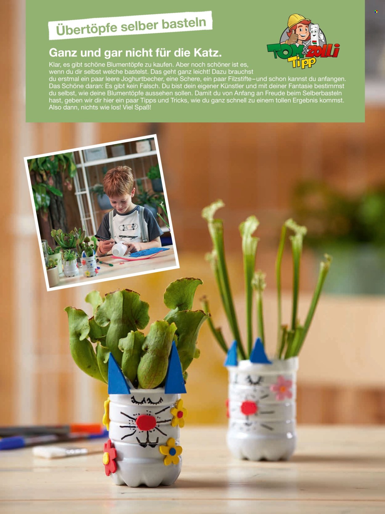toom Baumarkt Prospekte  - 20.02.2024 - 31.05.2024. Seite 26