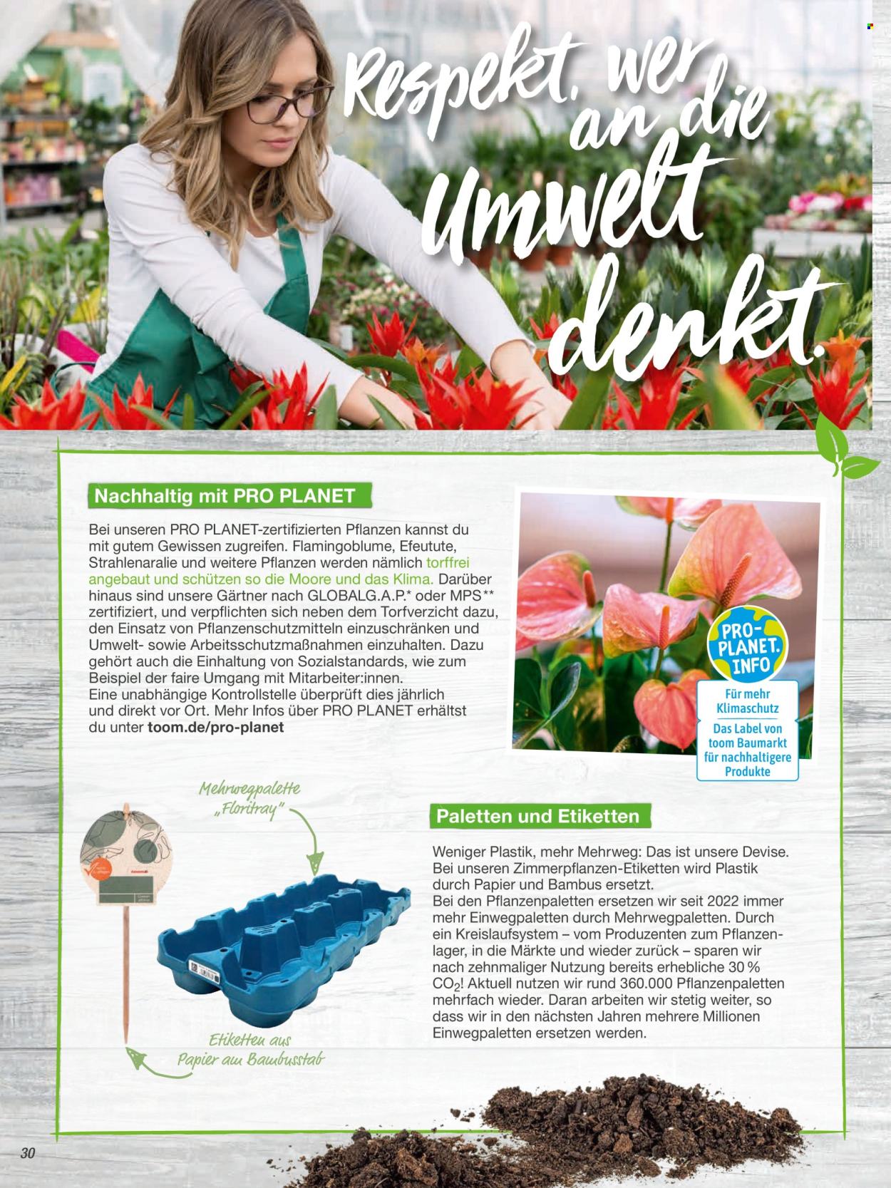 toom Baumarkt Prospekte  - 20.02.2024 - 31.05.2024. Seite 30