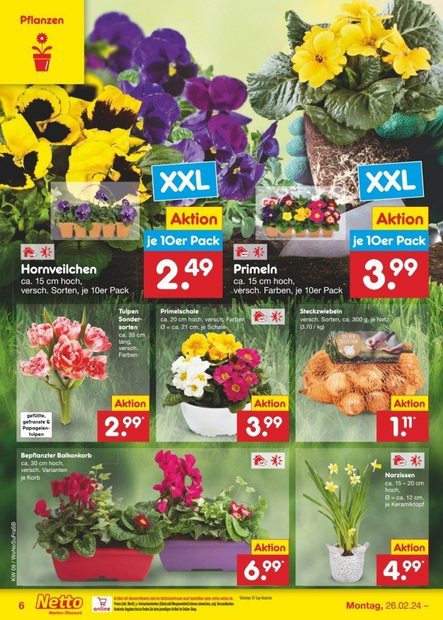 Netto Marken-Discount Prospekte  - 26.02.2024 - 2.03.2024. Seite 6