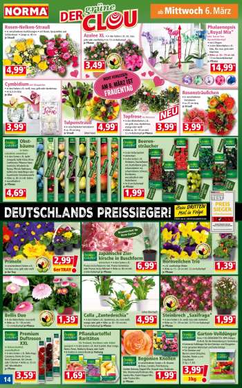 thumbnail - Obst- bäume in Dekoschachtel