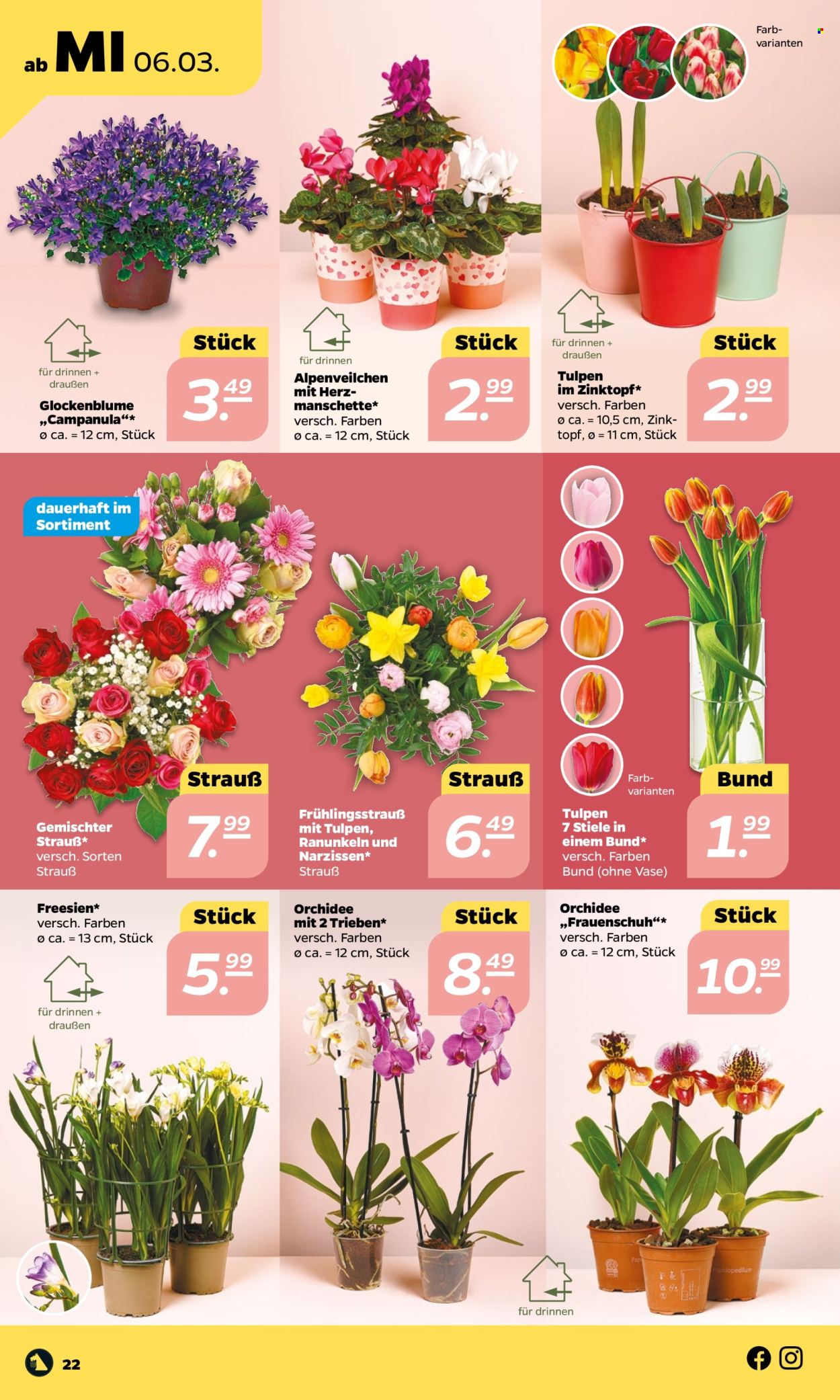 Netto Prospekte  - 4.03.2024 - 9.03.2024. Seite 22