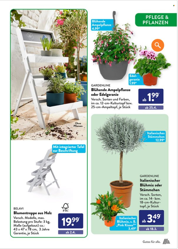 ALDI SÜD Prospekte . Seite 37