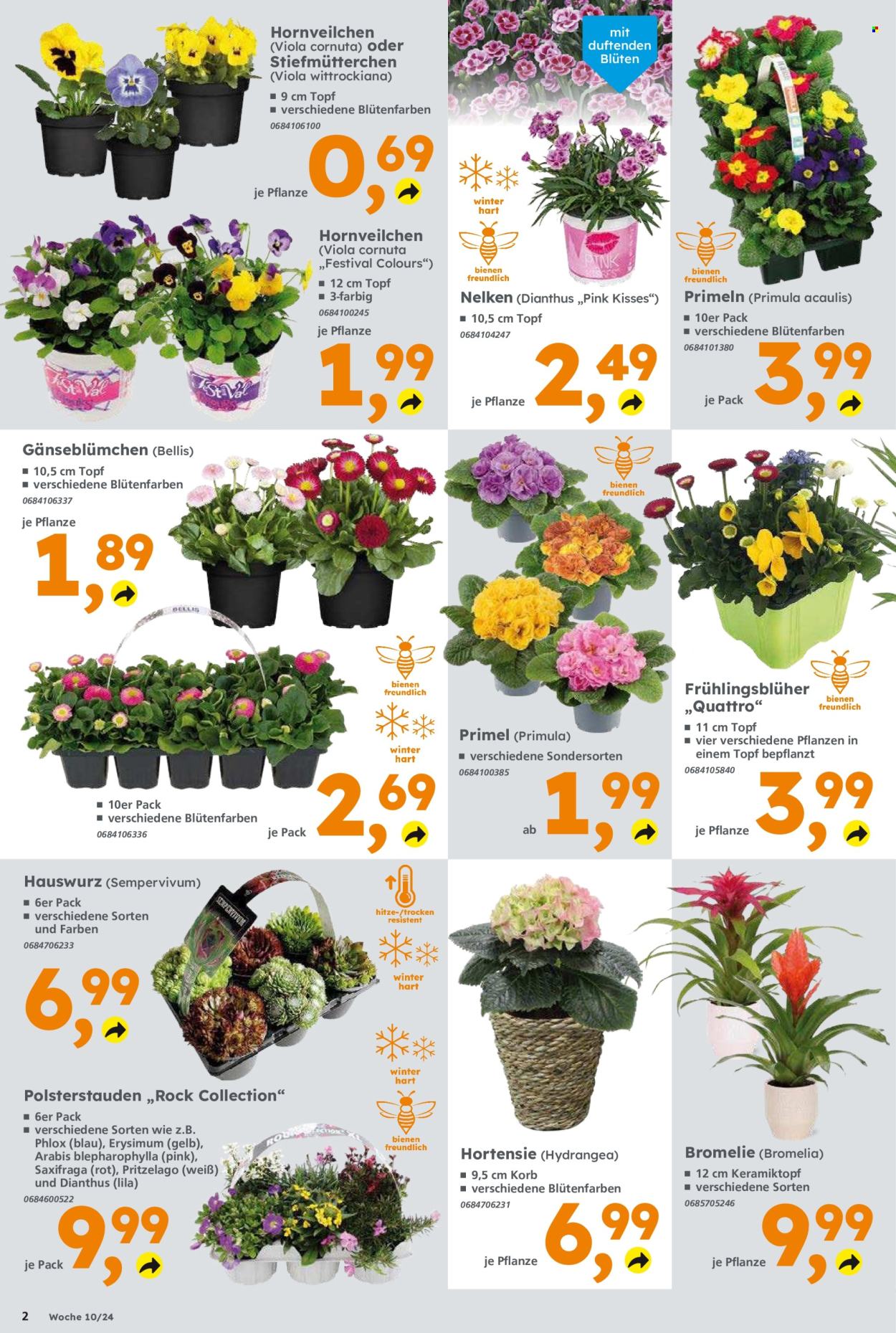 Globus Baumarkt Prospekte  - 4.03.2024 - 9.03.2024. Seite 2