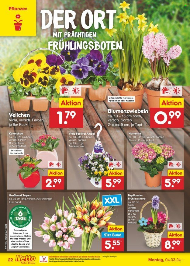 Netto Marken-Discount Prospekte  - 4.03.2024 - 9.03.2024. Seite 22
