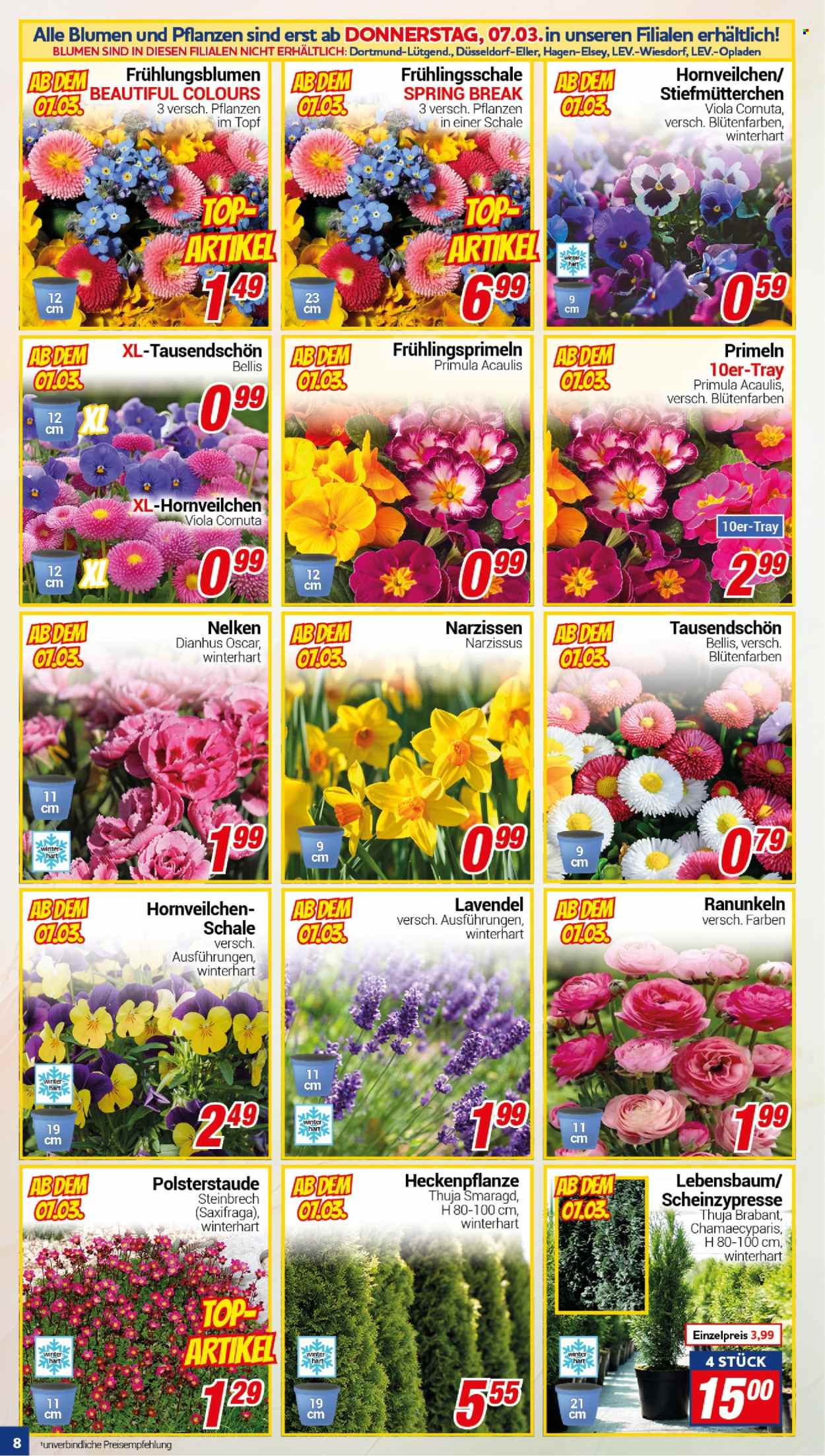 CENTERSHOP Prospekte  - 4.03.2024 - 9.03.2024. Seite 8