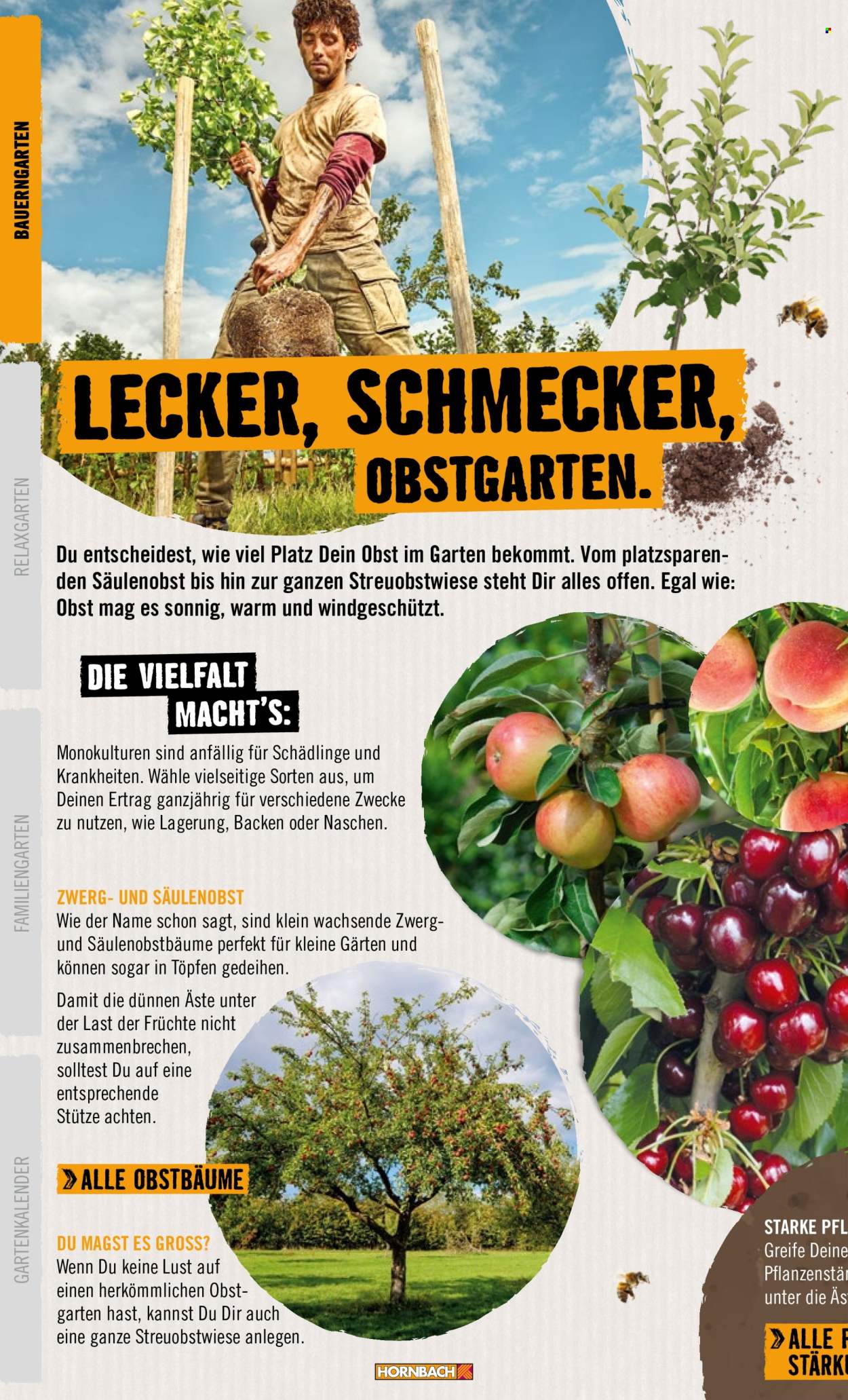 Hornbach Prospekte . Seite 8