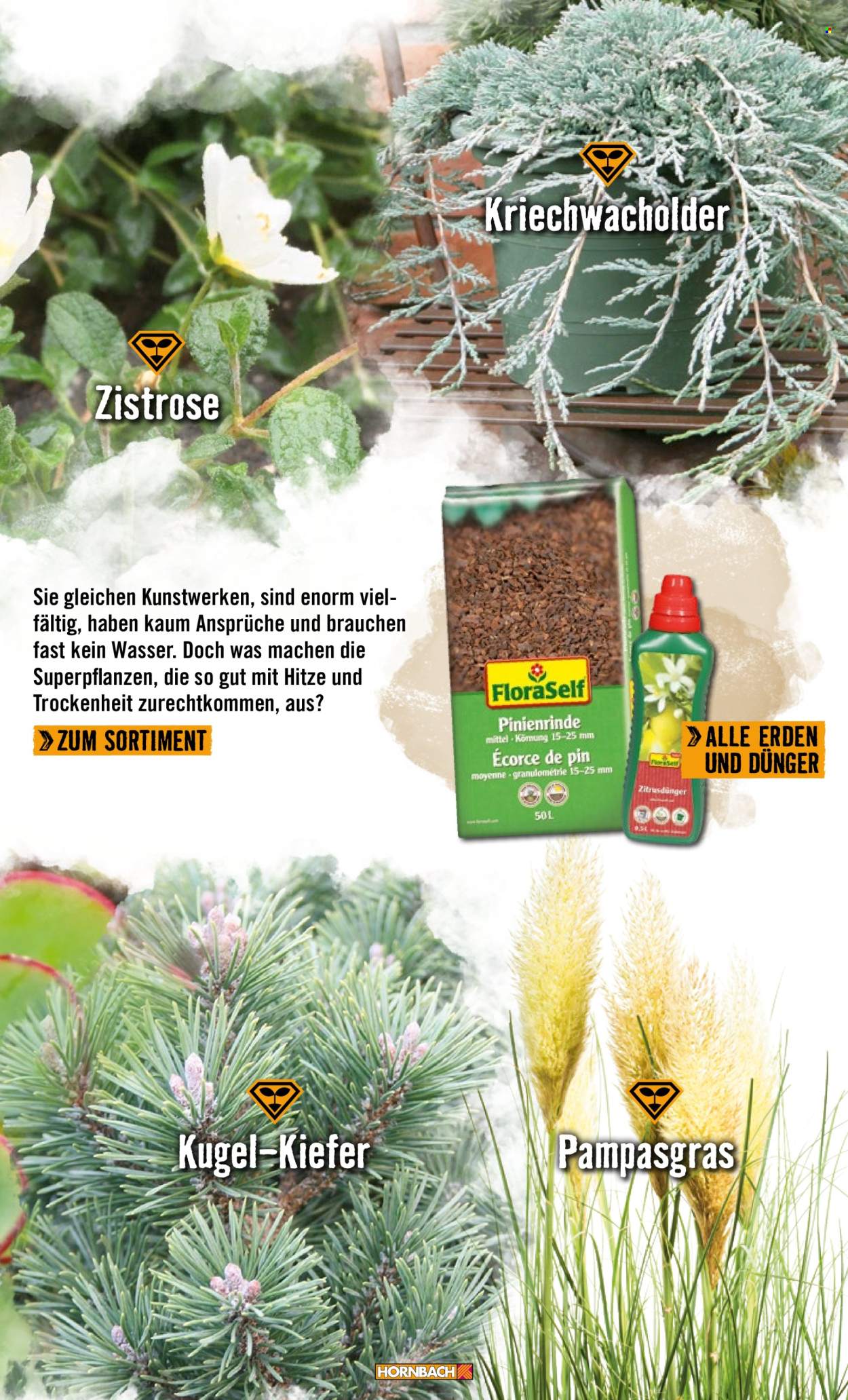 Hornbach Prospekte . Seite 29