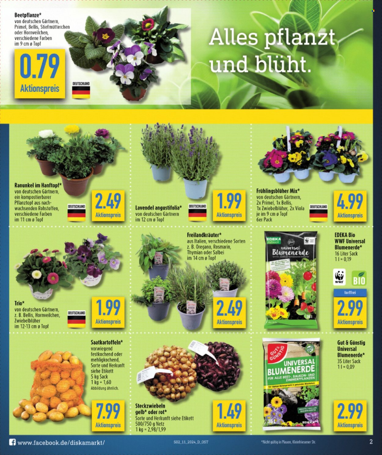Diska Prospekte  - 11.03.2024 - 16.03.2024. Seite 2