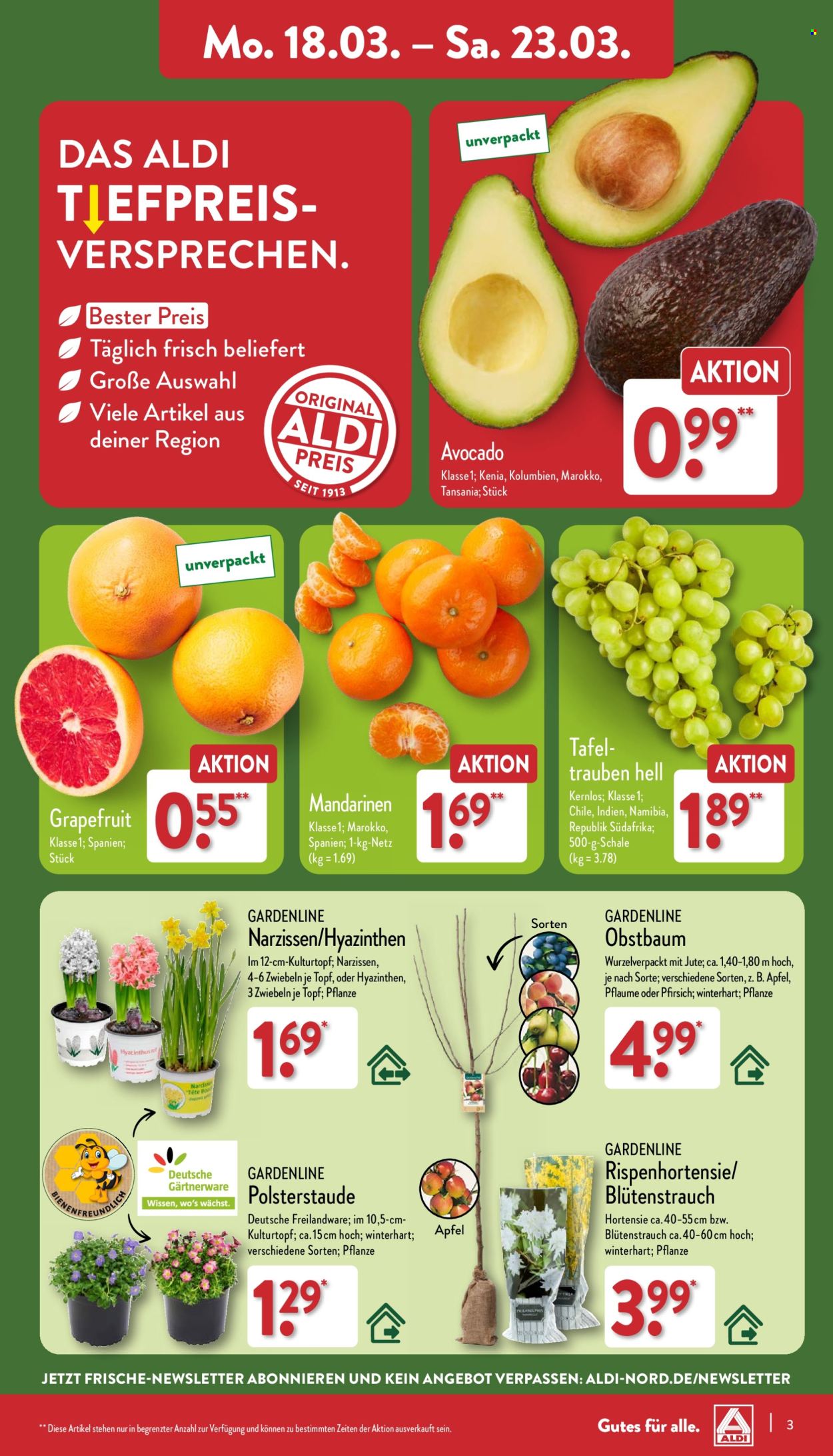 ALDI Nord Prospekte  - 18.03.2024 - 23.03.2024. Seite 3