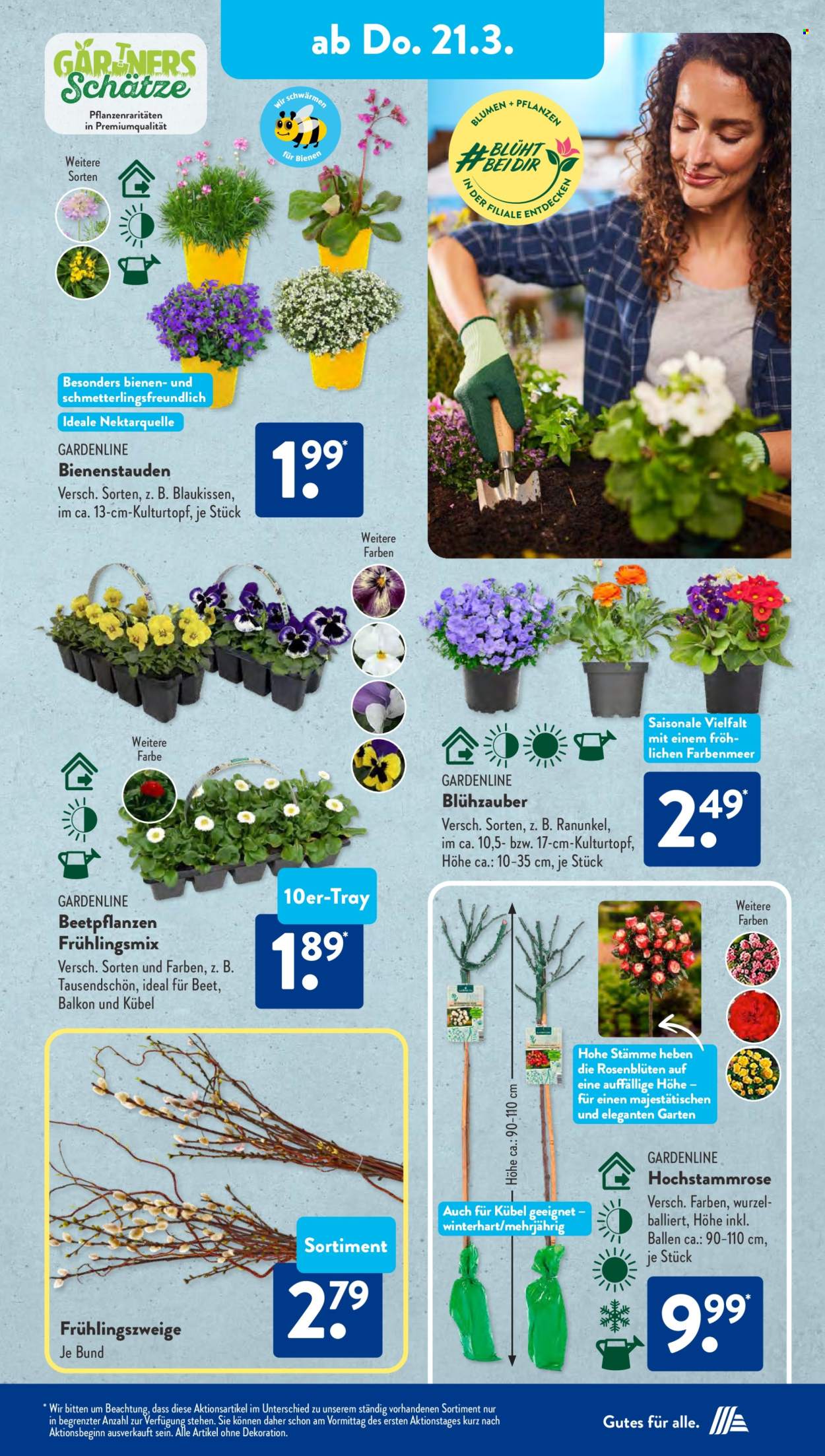 ALDI SÜD Prospekte . Seite 28
