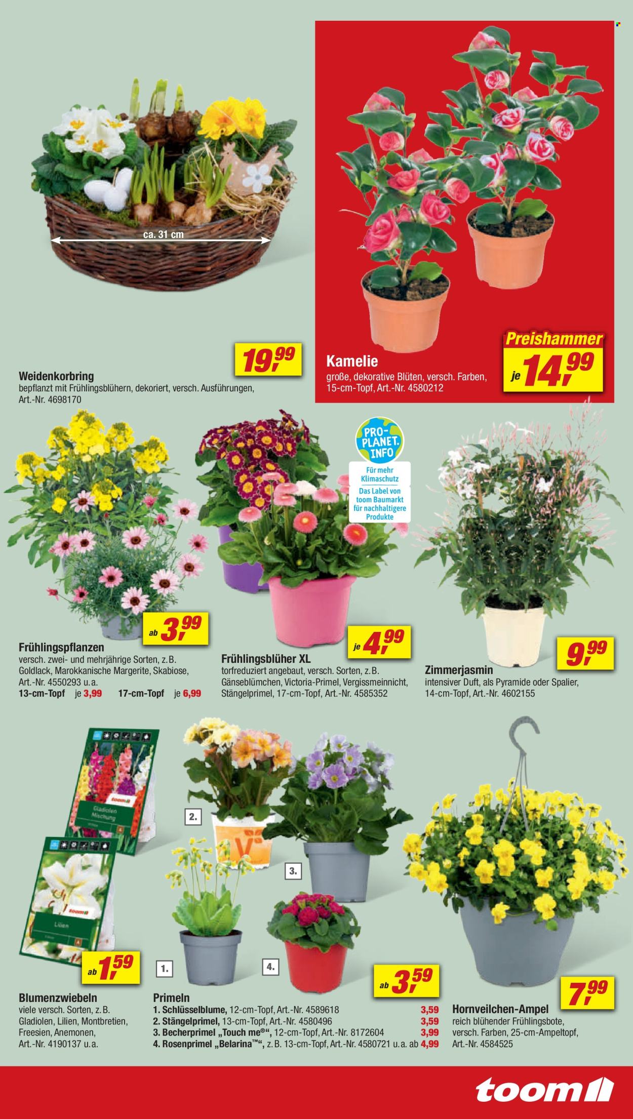 toom Baumarkt Prospekte  - 16.03.2024 - 22.03.2024. Seite 9