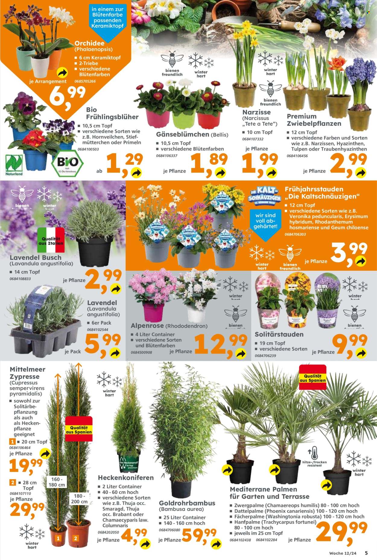 Globus Baumarkt Prospekte  - 18.03.2024 - 23.03.2024. Seite 5