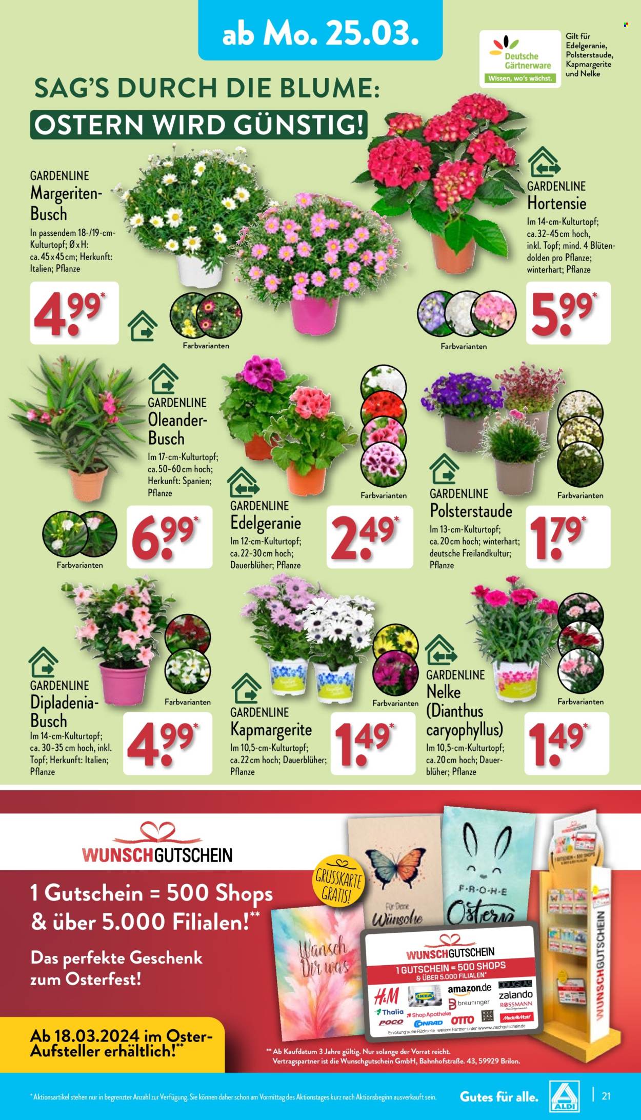 ALDI Nord Prospekte  - 25.03.2024 - 30.03.2024. Seite 21