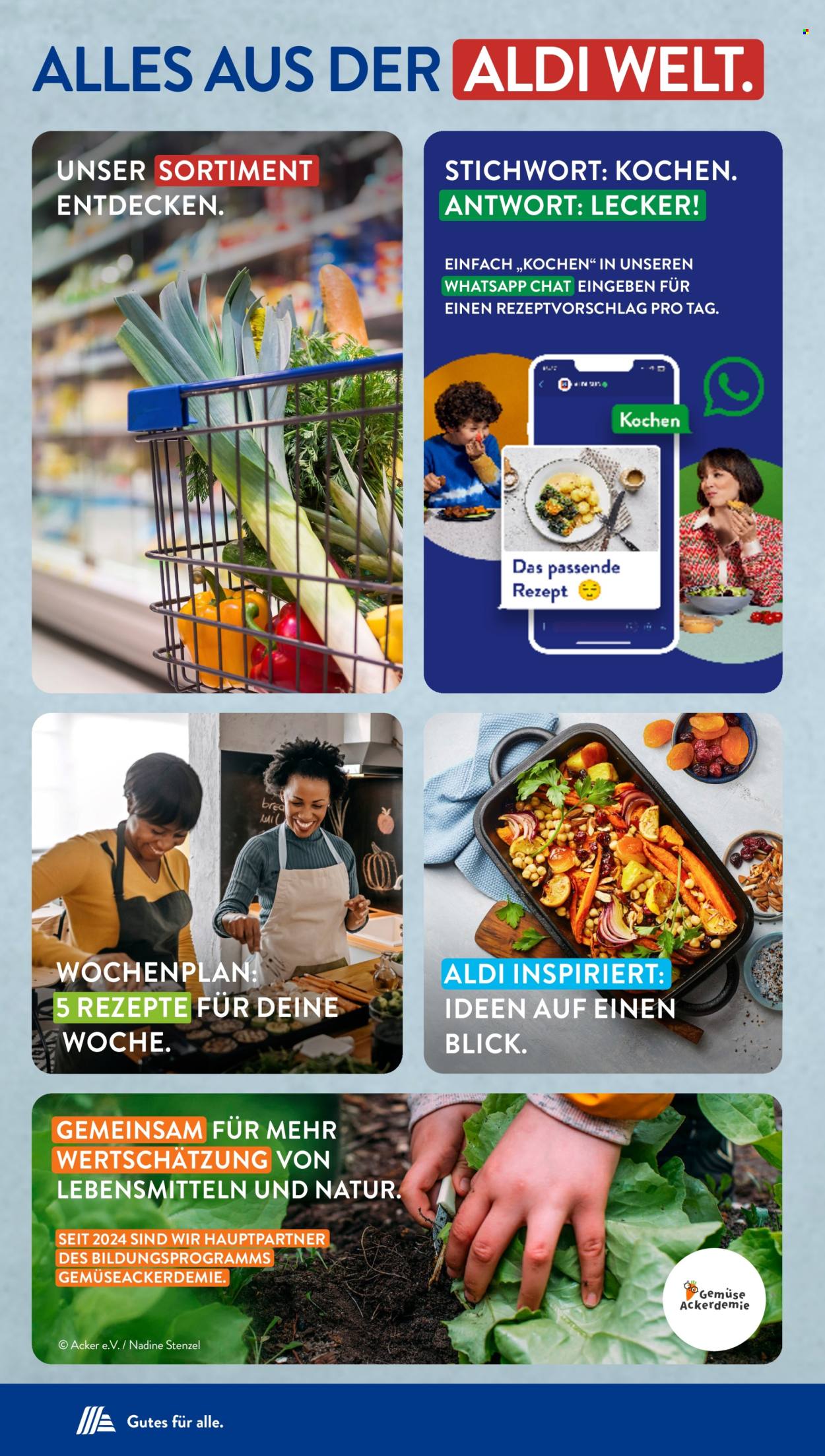 ALDI SÜD Prospekte . Seite 58