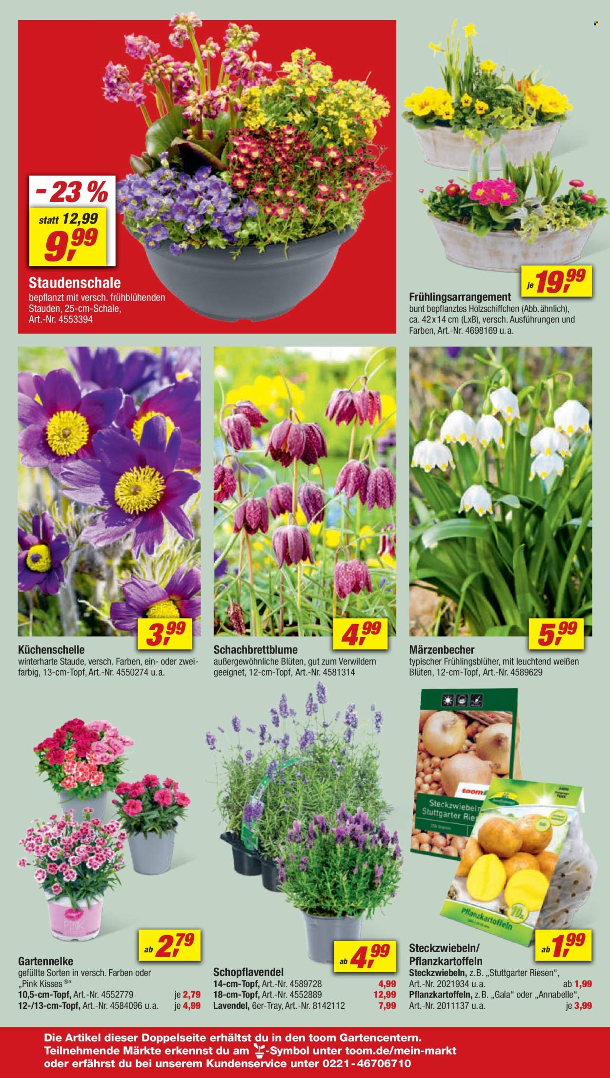 toom Baumarkt Prospekte  - 23.03.2024 - 29.03.2024. Seite 8