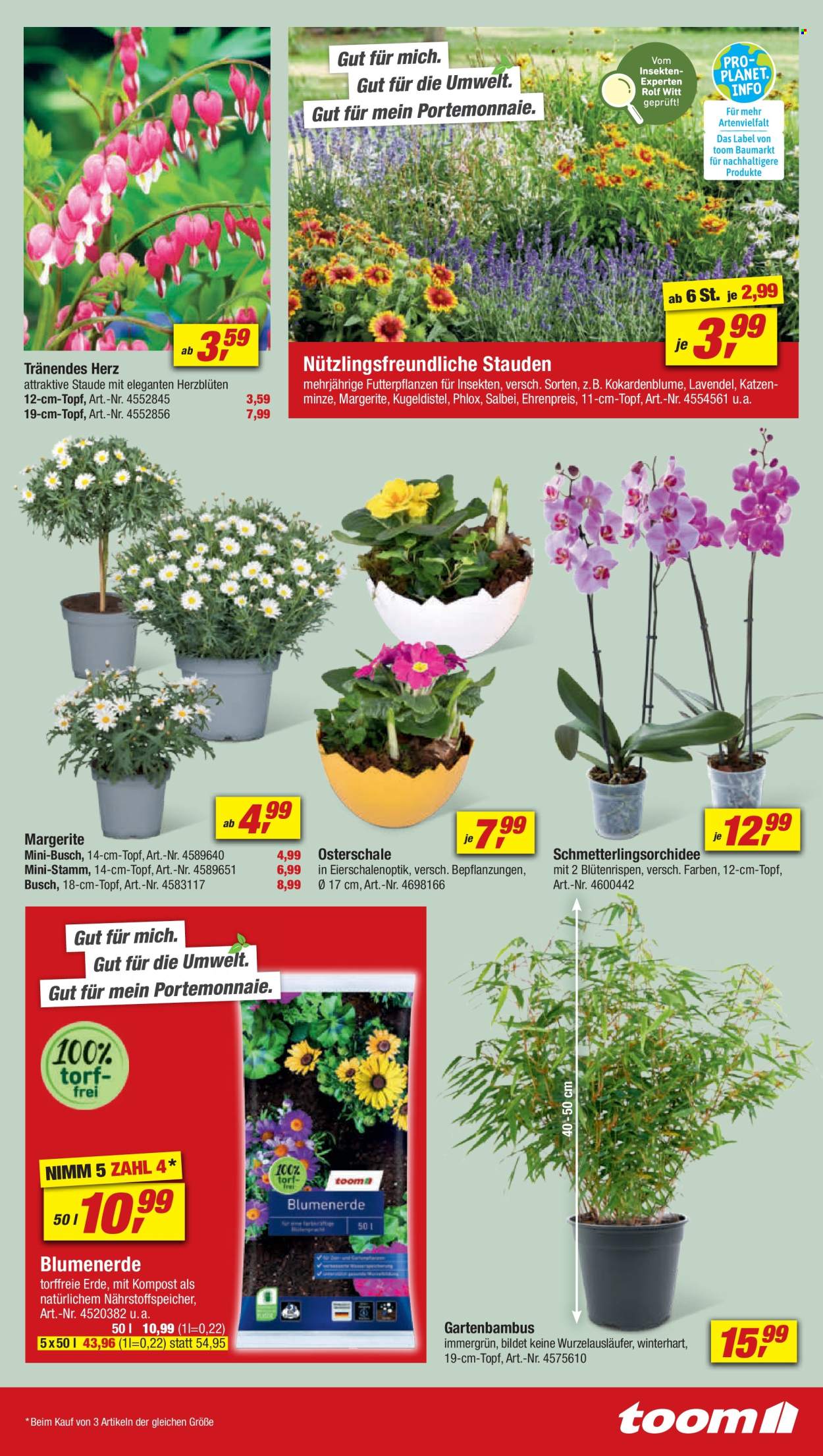 toom Baumarkt Prospekte  - 23.03.2024 - 29.03.2024. Seite 11