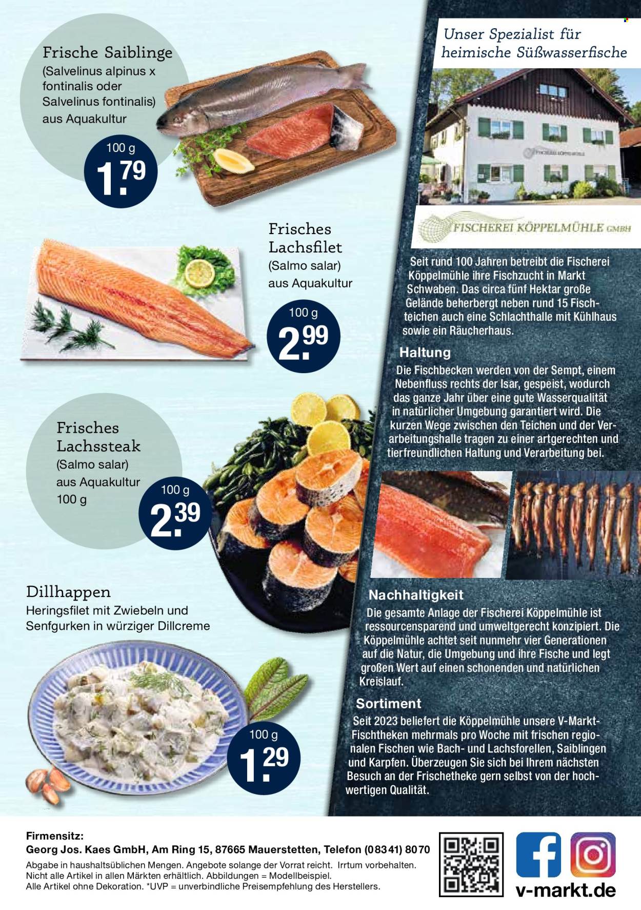 V-Markt Prospekte  - 21.03.2024 - 3.04.2024. Seite 2