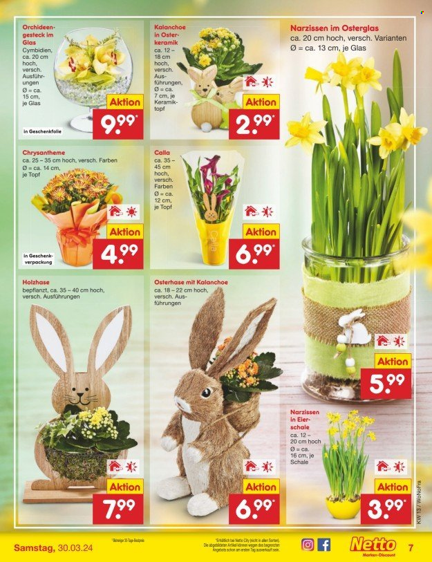 Netto Marken-Discount Prospekte  - 25.03.2024 - 30.03.2024. Seite 7