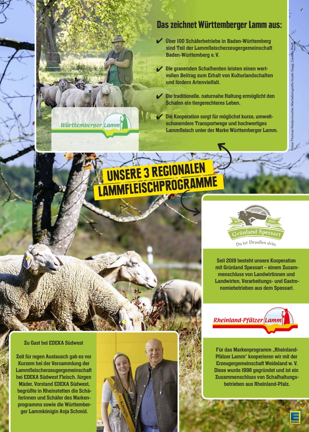 Edeka Prospekte  - 25.03.2024 - 30.03.2024. Seite 11