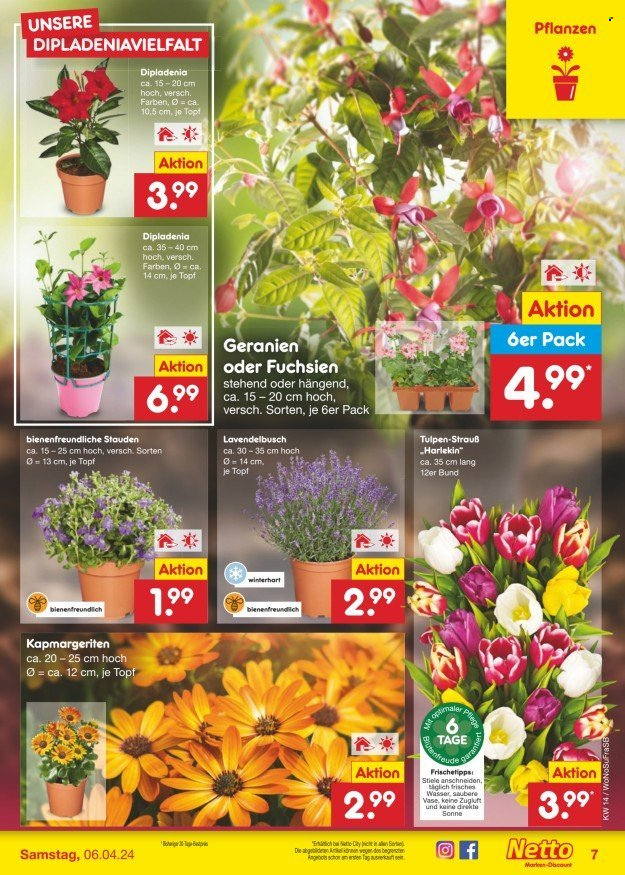 Netto Marken-Discount Prospekte  - 2.04.2024 - 6.04.2024. Seite 7