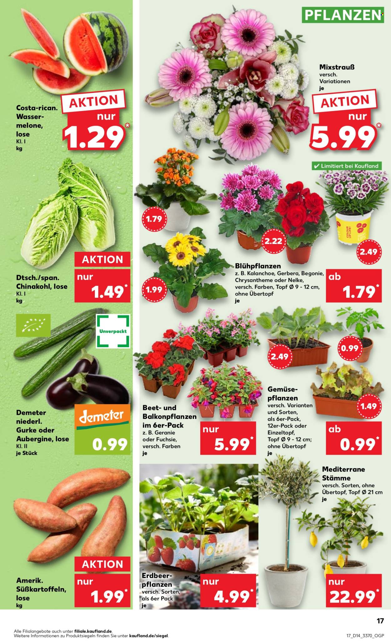 Kaufland Prospekte  - 4.04.2024 - 10.04.2024. Seite 17