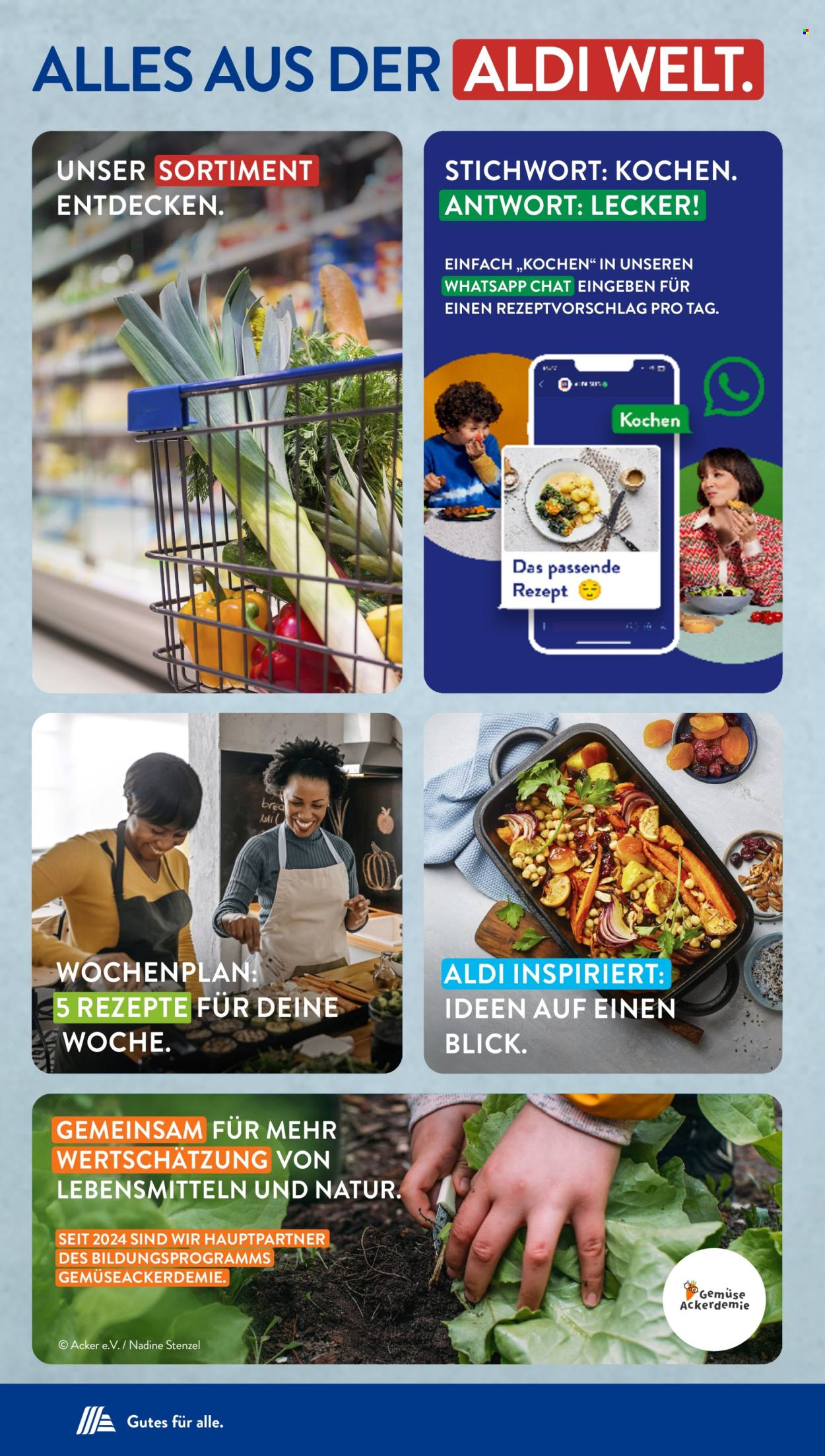 ALDI SÜD Prospekte . Seite 43