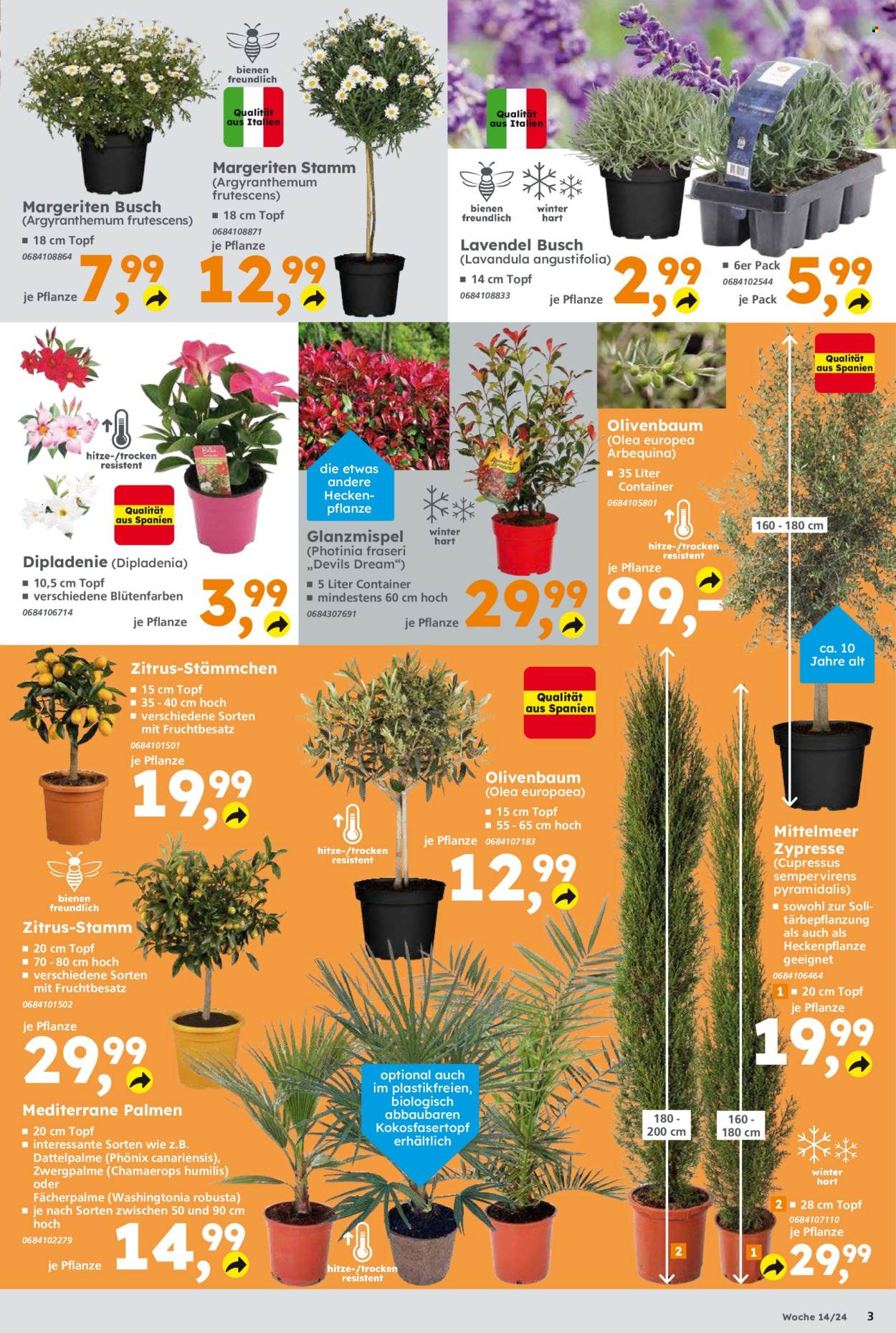 Globus Baumarkt Prospekte  - 2.04.2024 - 6.04.2024. Seite 3