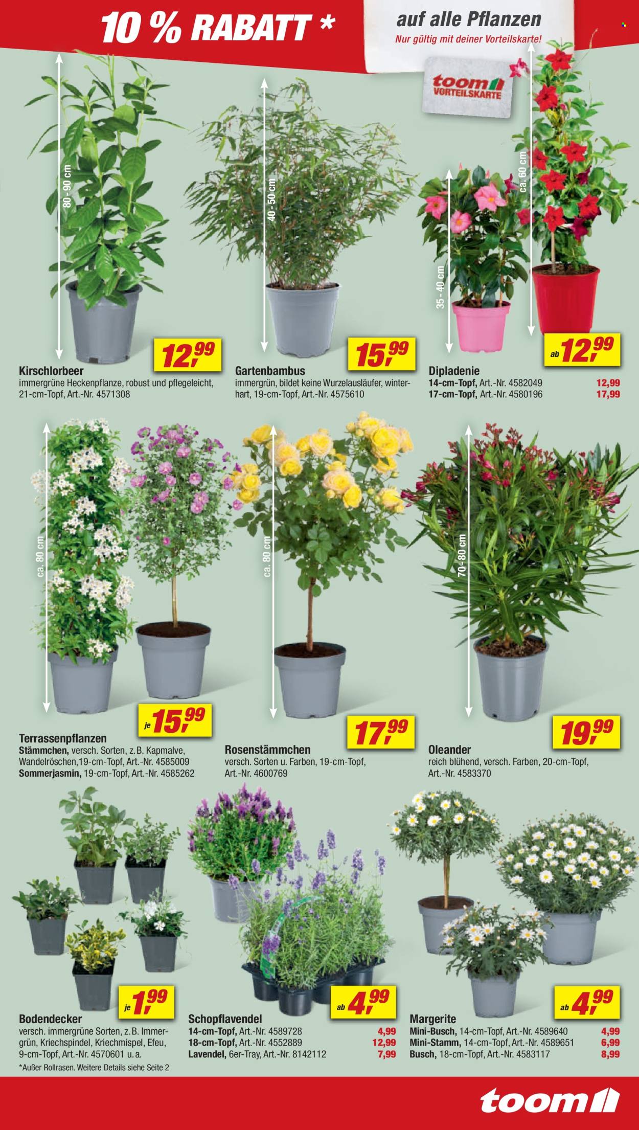toom Baumarkt Prospekte  - 6.04.2024 - 12.04.2024. Seite 5