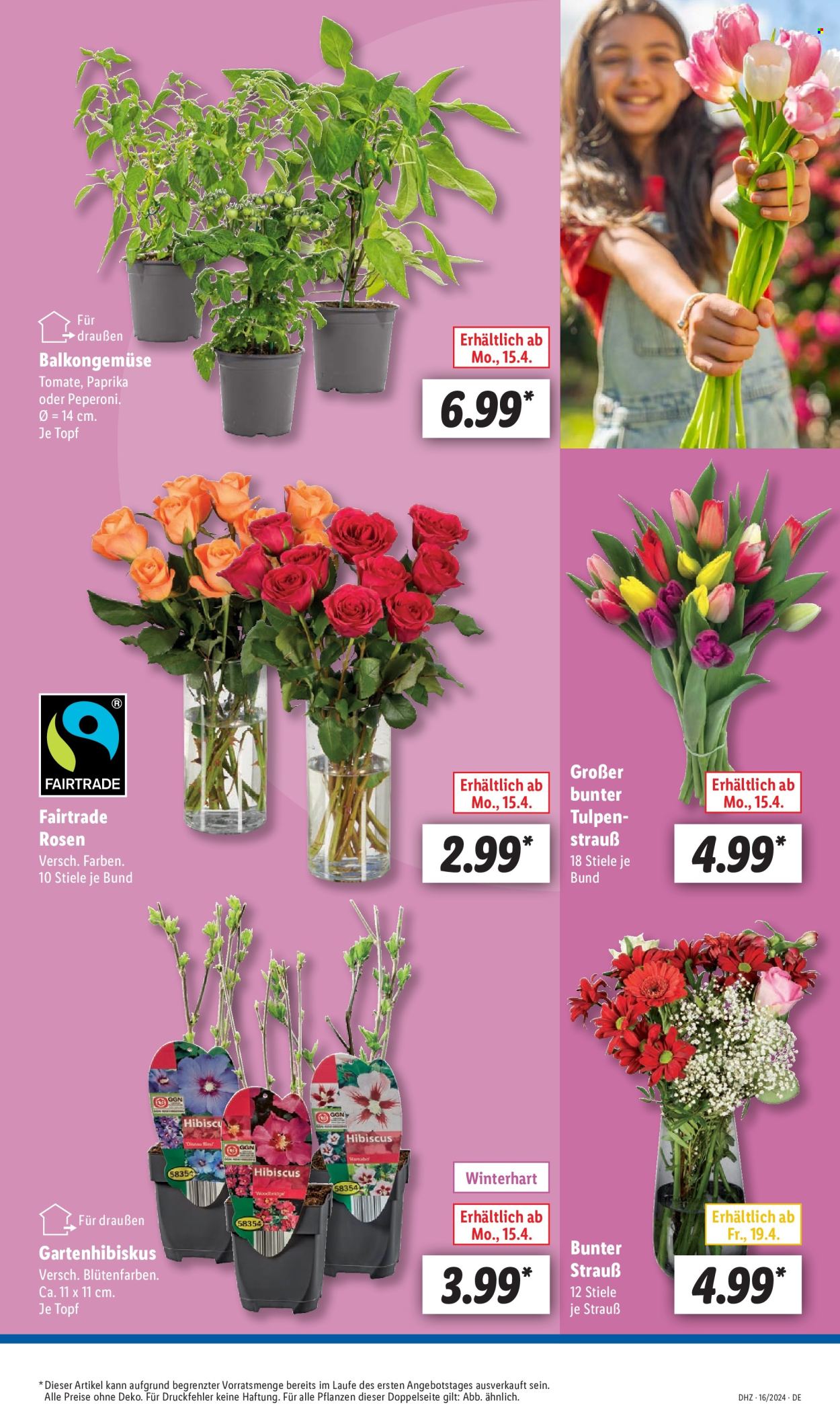 Lidl Prospekte  - 15.04.2024 - 20.04.2024. Seite 9