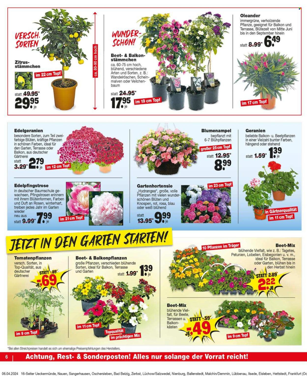 Repo Prospekte  - 8.04.2024 - 13.04.2024. Seite 6