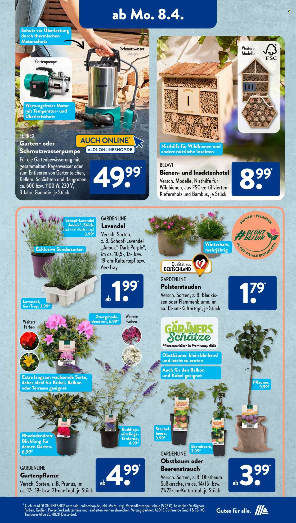 ALDI SÜD Prospekte  - 8.04.2024 - 13.04.2024. Seite 15
