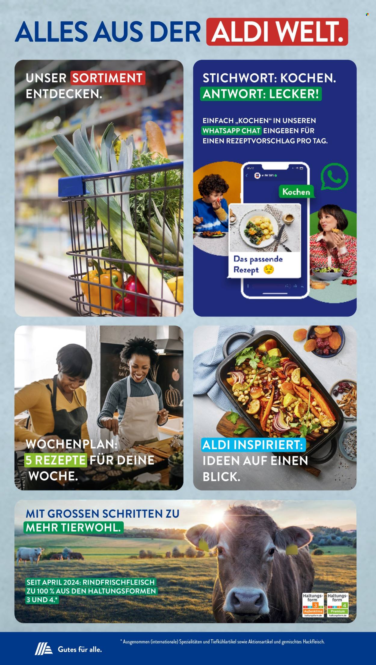 ALDI SÜD Prospekte  - 8.04.2024 - 13.04.2024. Seite 43
