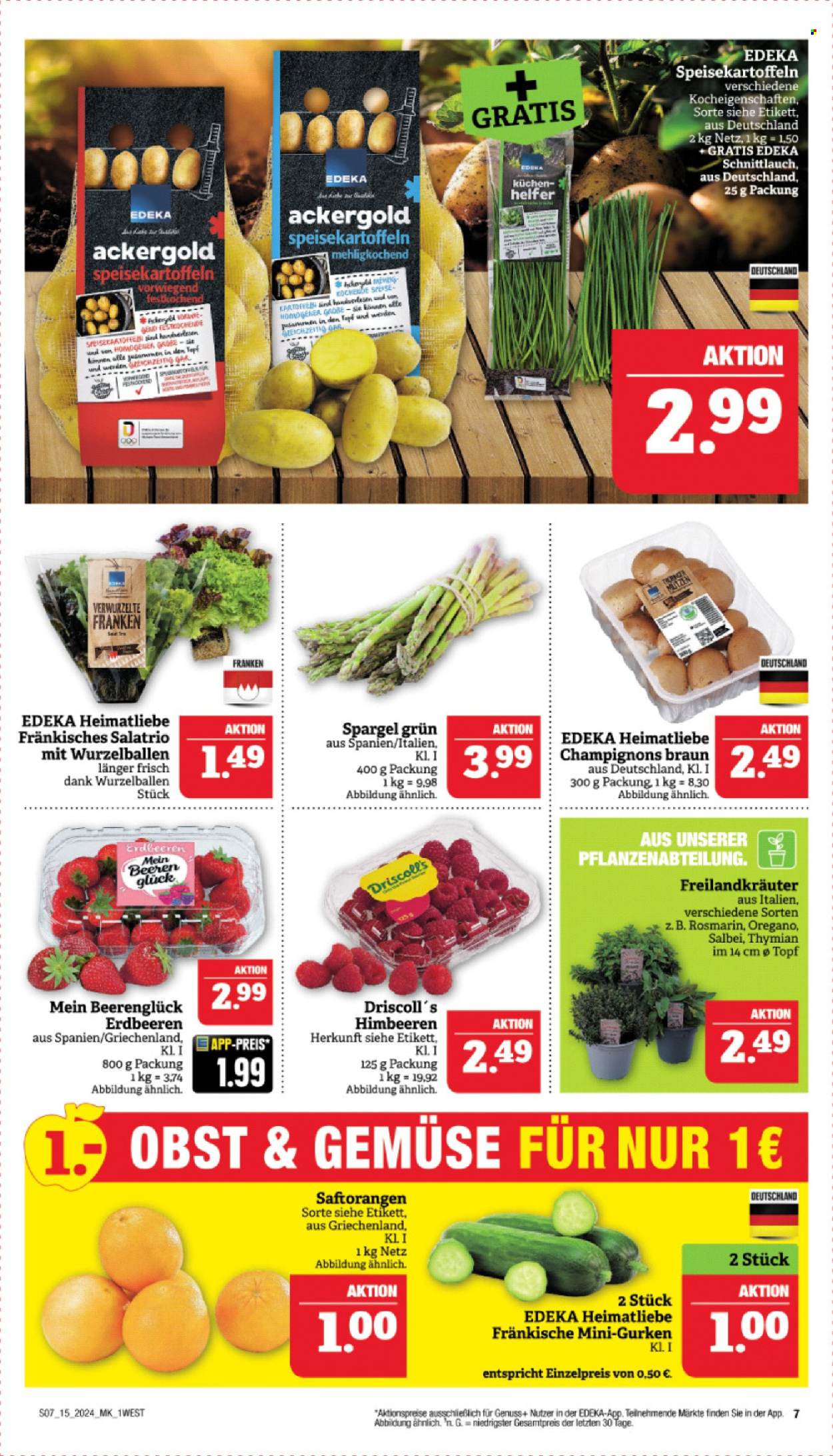 Marktkauf Prospekte  - 8.04.2024 - 13.04.2024. Seite 9
