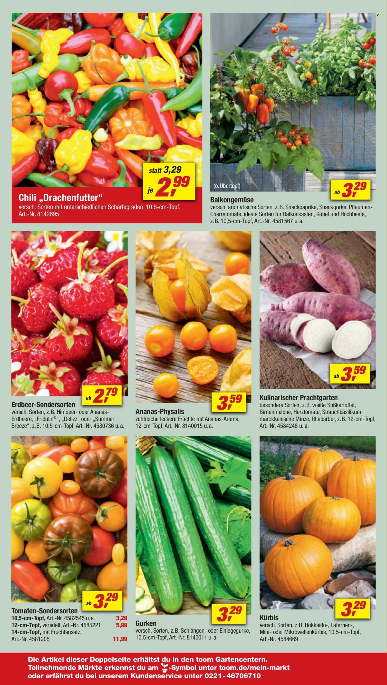 toom Baumarkt Prospekte  - 13.04.2024 - 19.04.2024. Seite 16