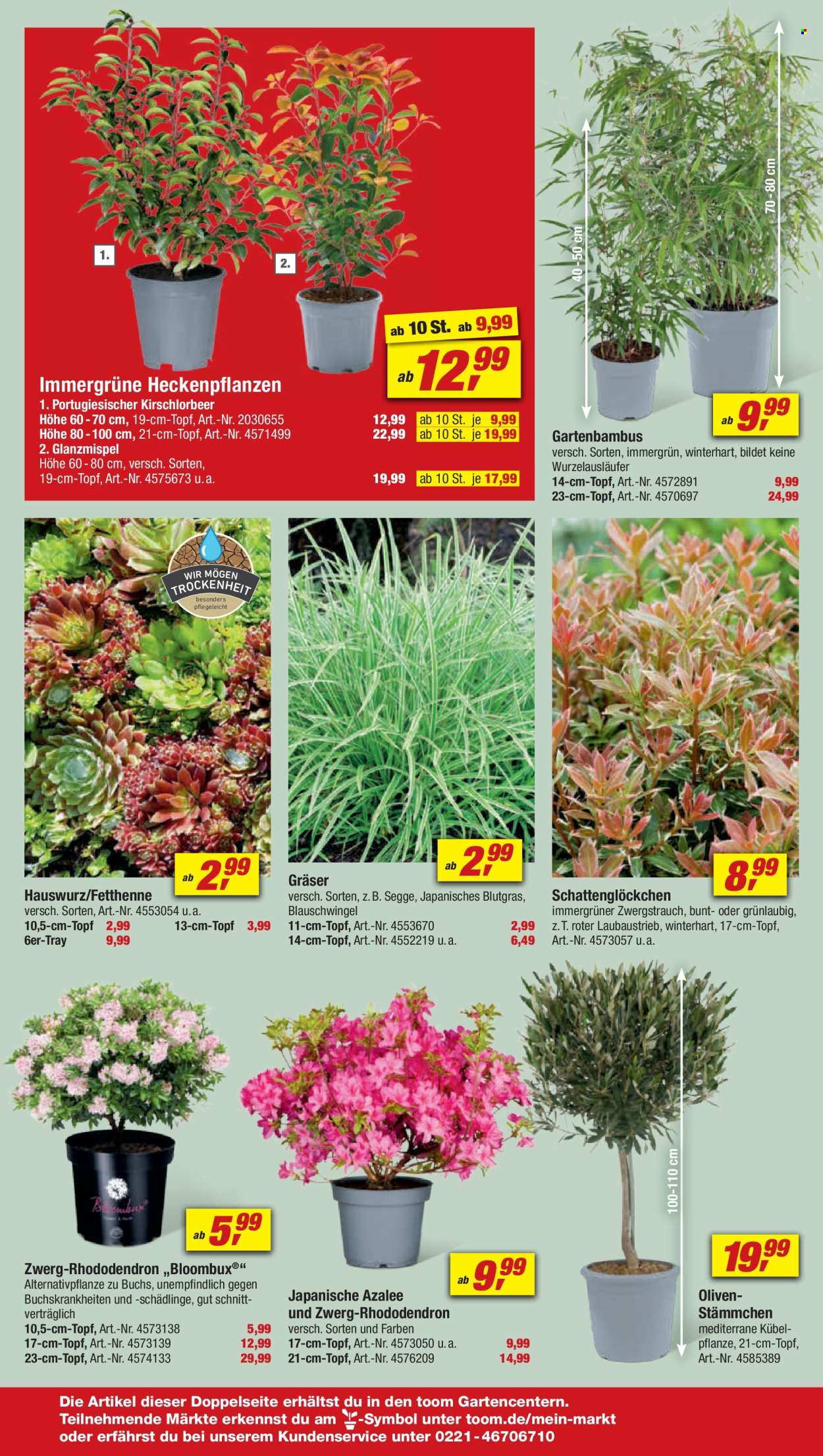 toom Baumarkt Prospekte  - 13.04.2024 - 19.04.2024. Seite 18