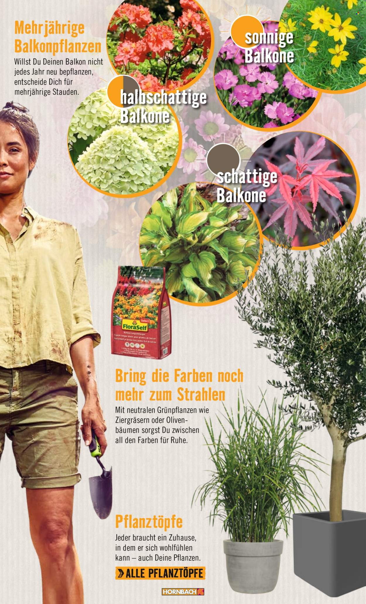 Hornbach Prospekte . Seite 5