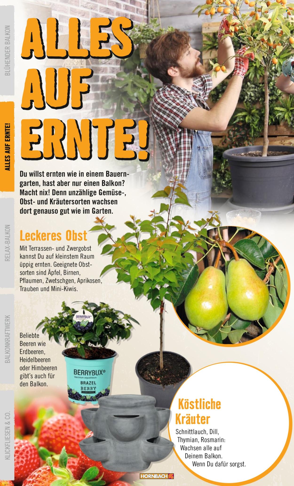 Hornbach Prospekte . Seite 10