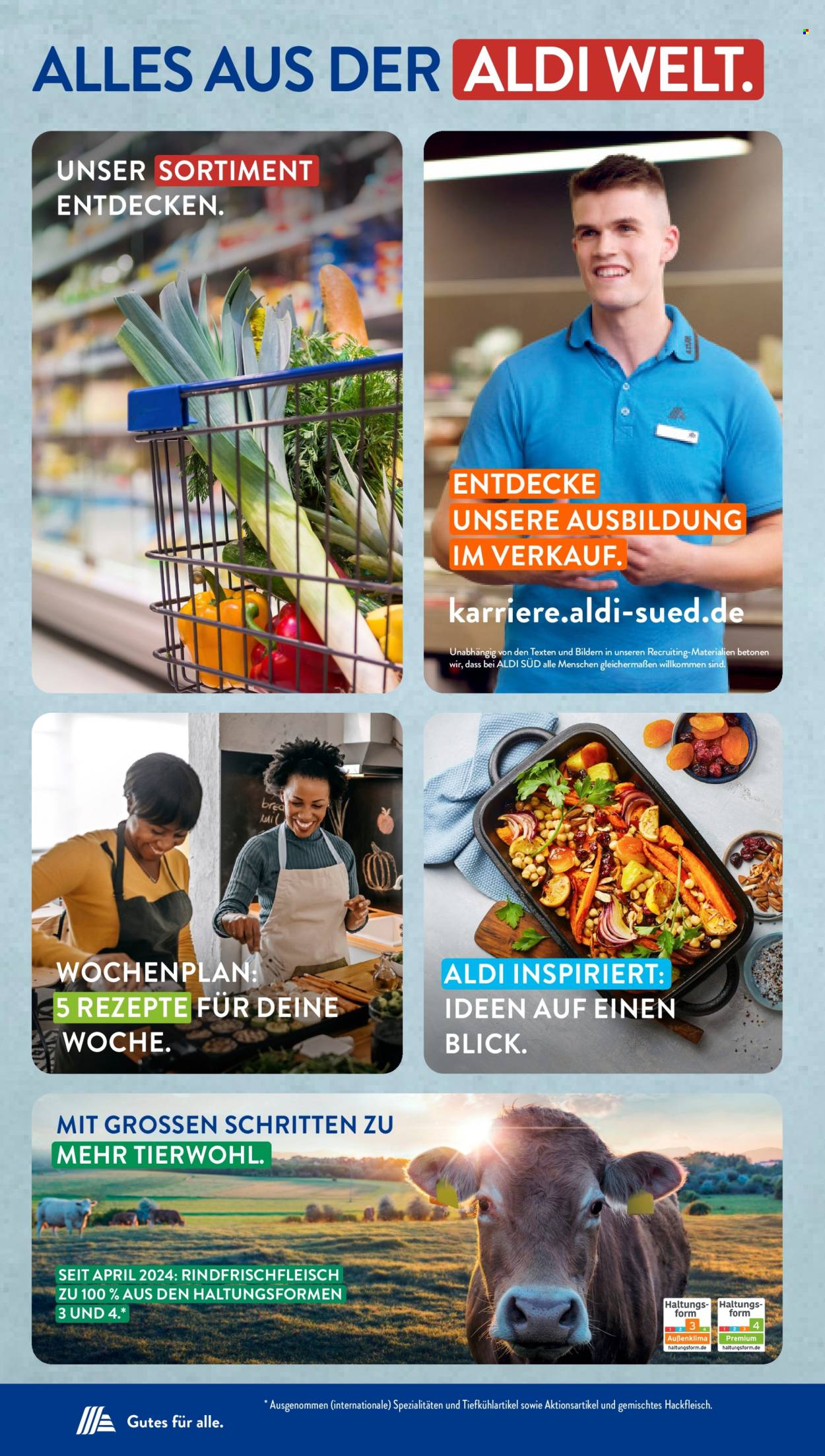 ALDI SÜD Prospekte . Seite 48