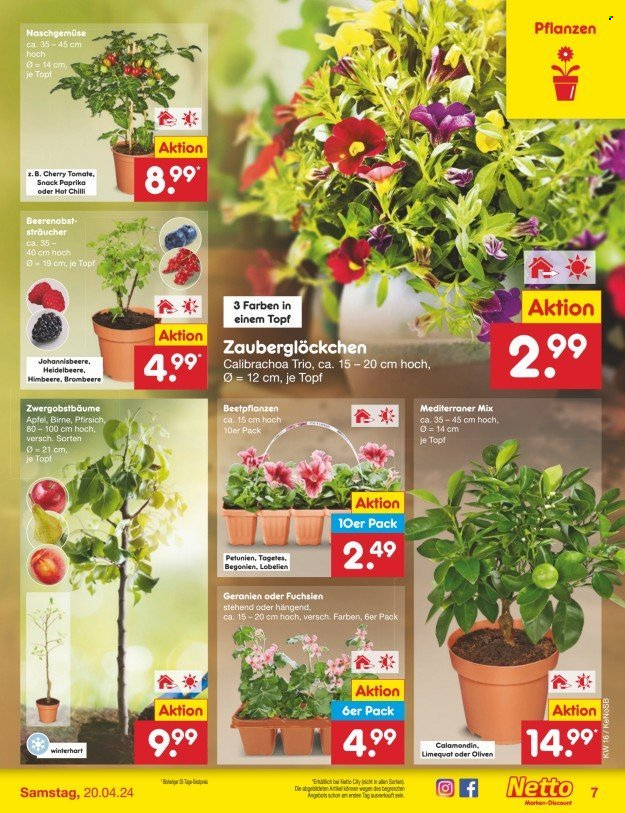 Netto Marken-Discount Prospekte  - 15.04.2024 - 20.04.2024. Seite 7
