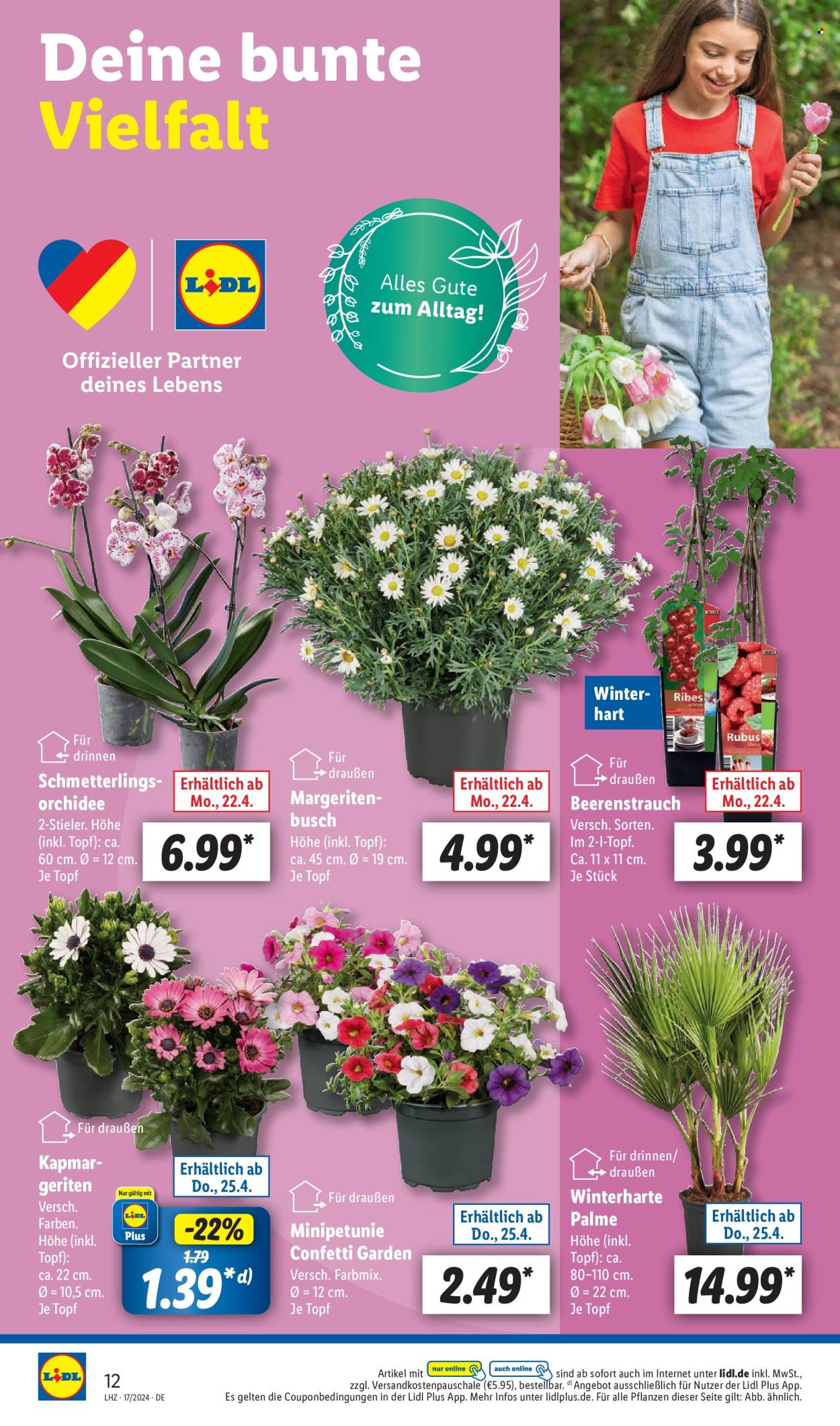 Lidl Prospekte  - 22.04.2024 - 27.04.2024. Seite 4