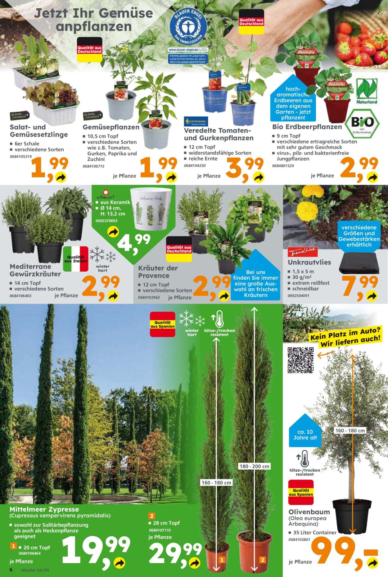 Globus Baumarkt Prospekte  - 15.04.2024 - 20.04.2024. Seite 6