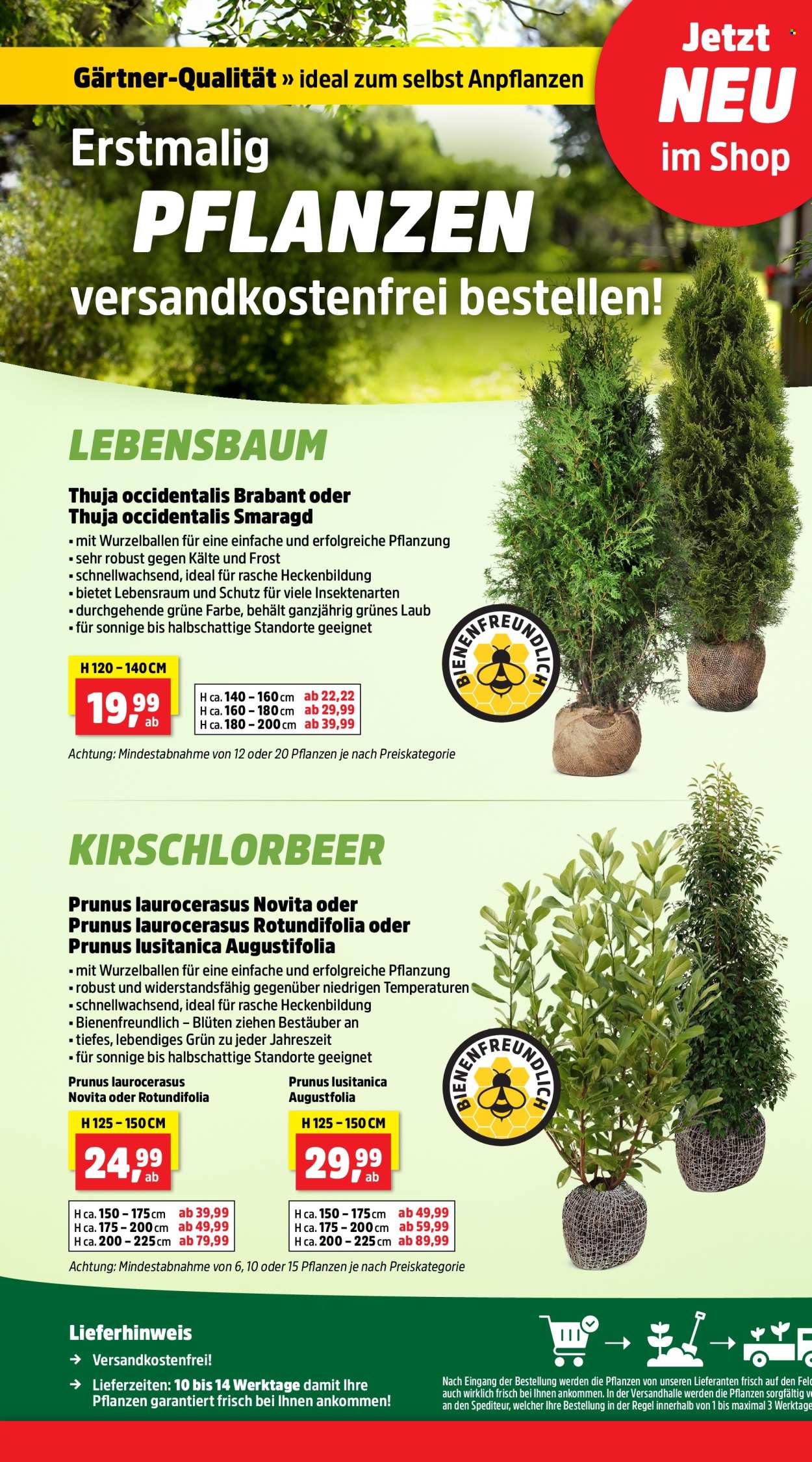 Thomas Philipps Prospekte  - 22.04.2024 - 27.04.2024. Seite 4