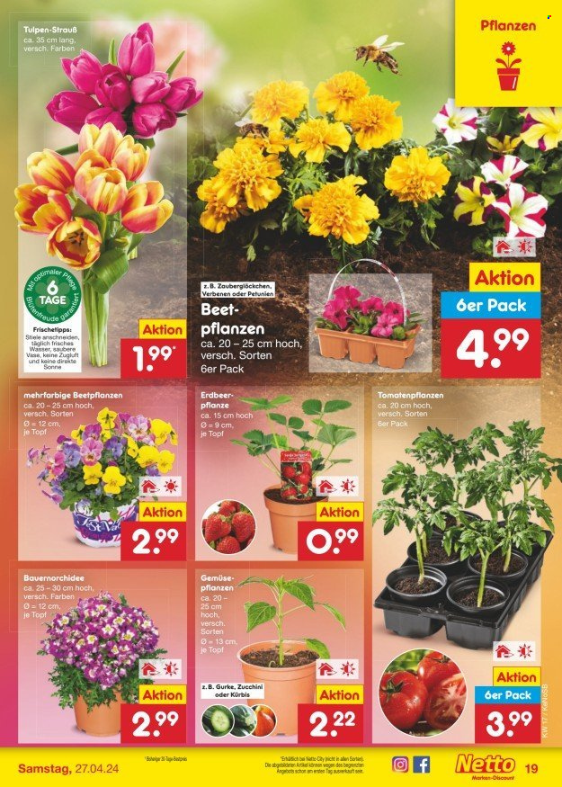 Netto Marken-Discount Prospekte  - 22.04.2024 - 27.04.2024. Seite 21