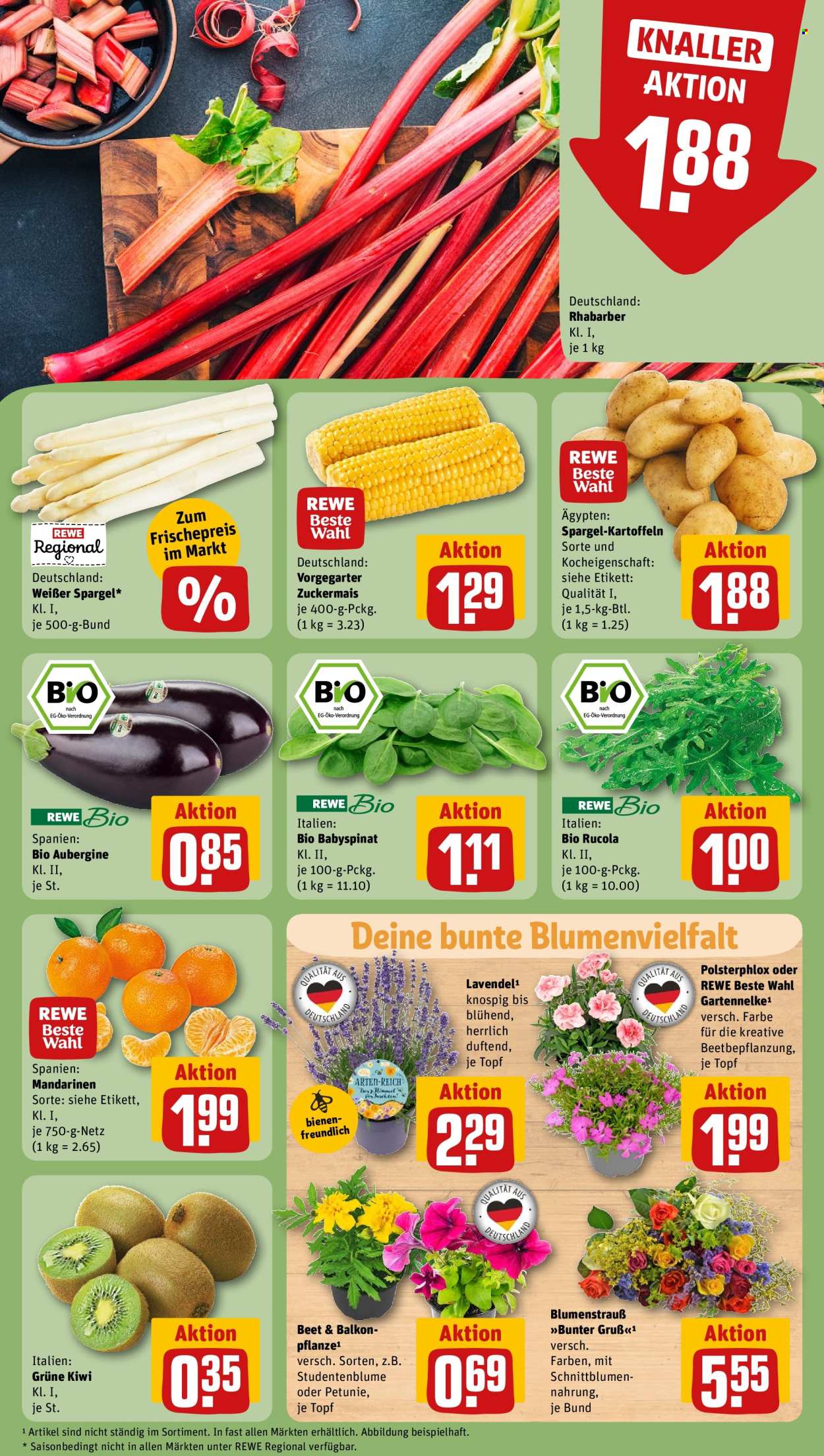 REWE Prospekte  - 22.04.2024 - 27.04.2024. Seite 9