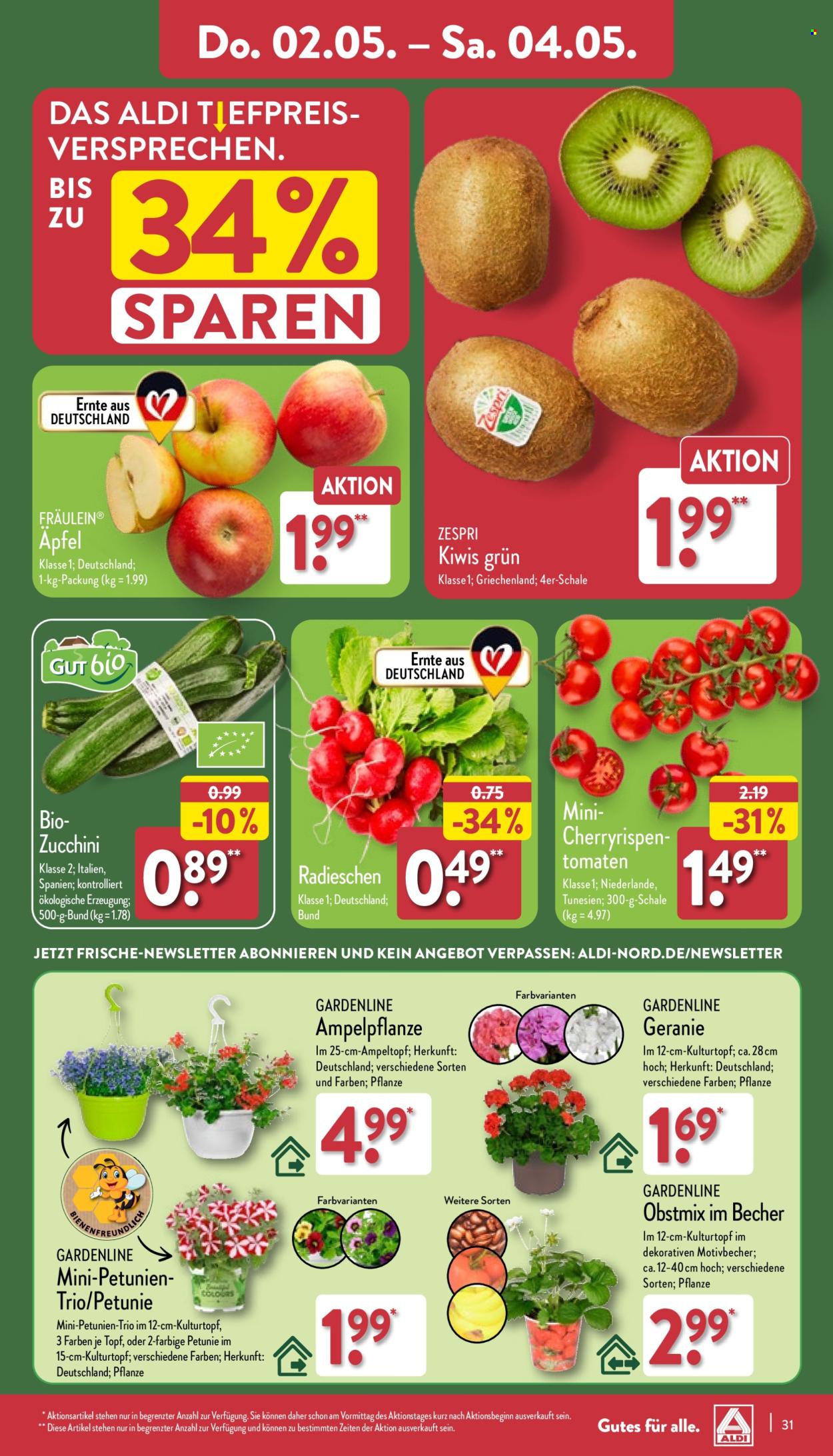 ALDI Nord Prospekte  - 29.04.2024 - 4.05.2024. Seite 31
