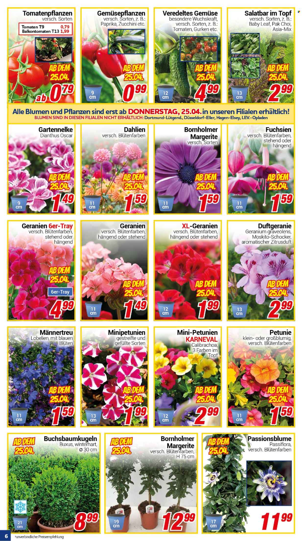 CENTERSHOP Prospekte  - 22.04.2024 - 27.04.2024. Seite 6