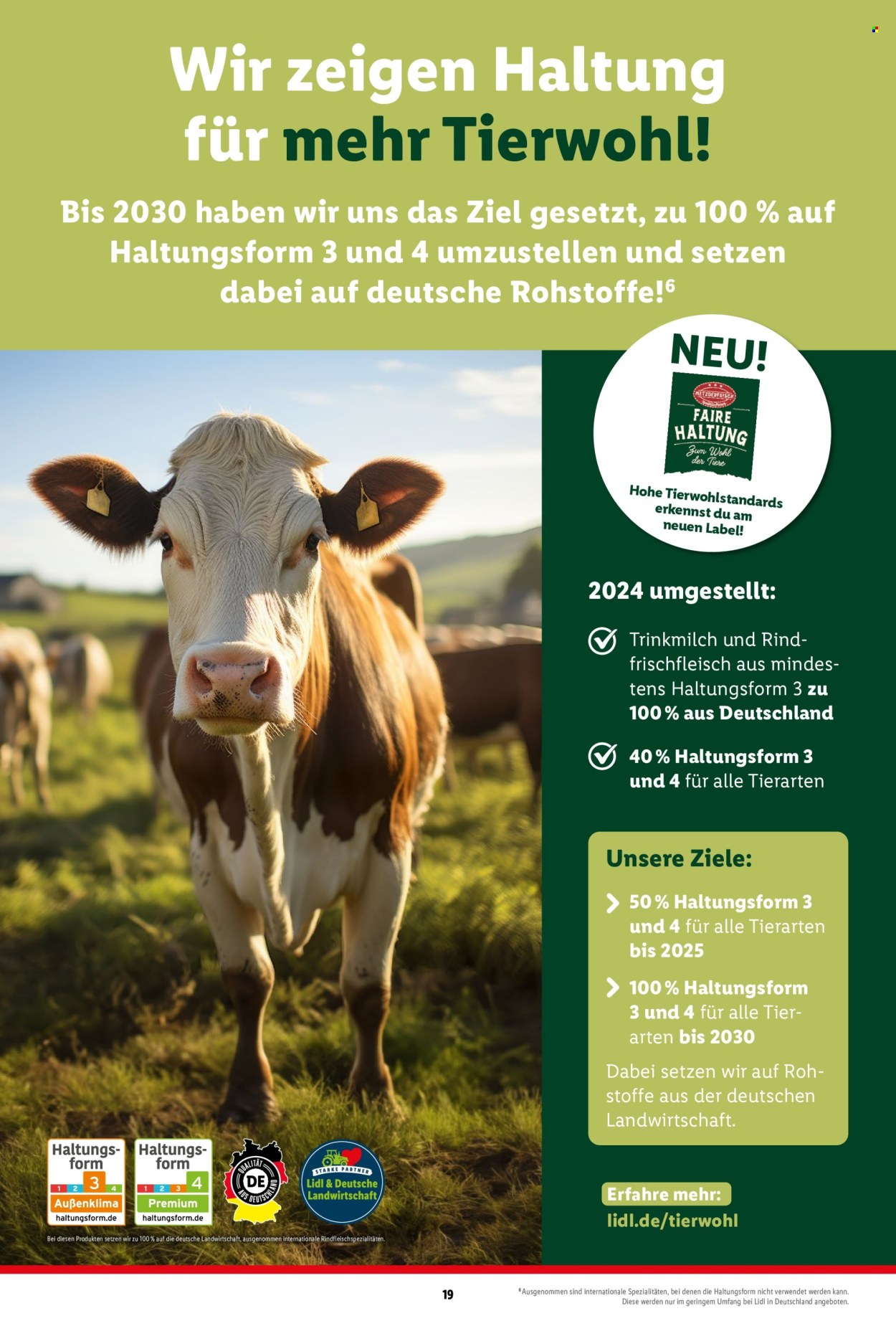 Lidl Prospekte  - 22.04.2024 - 18.05.2024. Seite 19