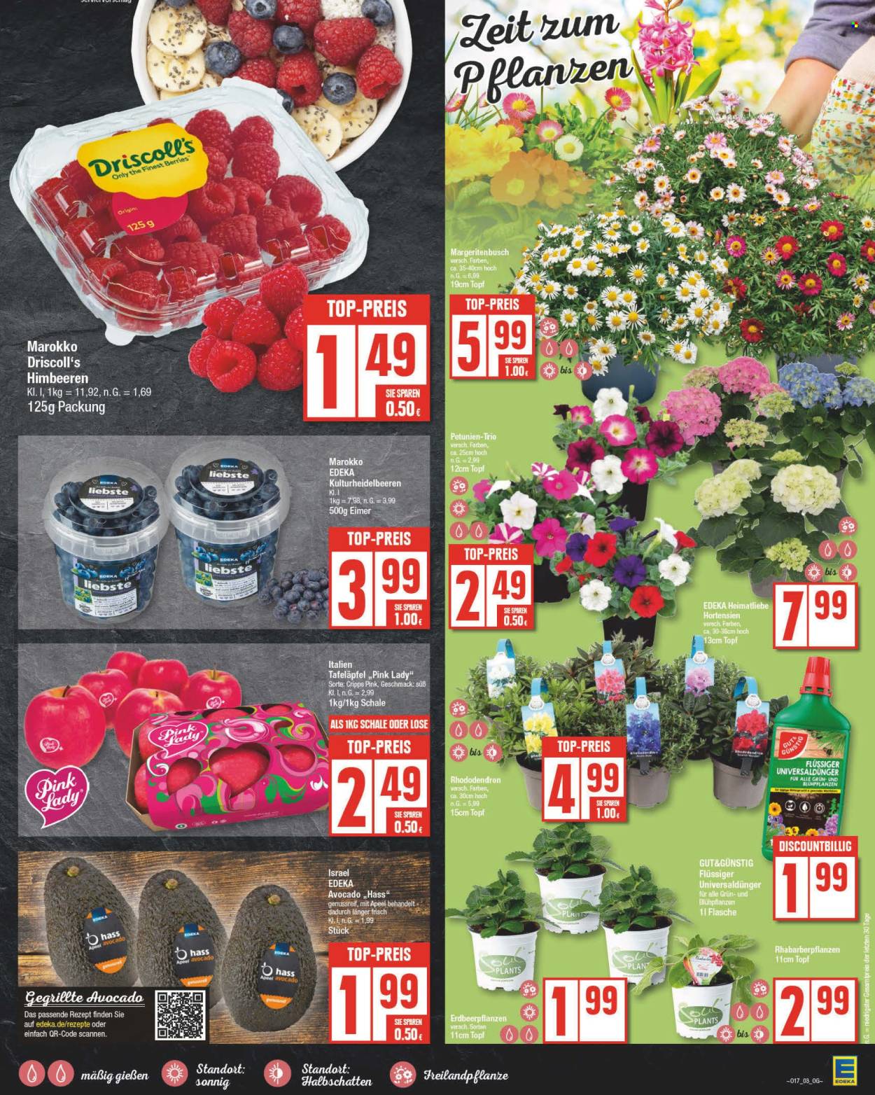 Edeka Prospekte  - 22.04.2024 - 27.04.2024. Seite 3